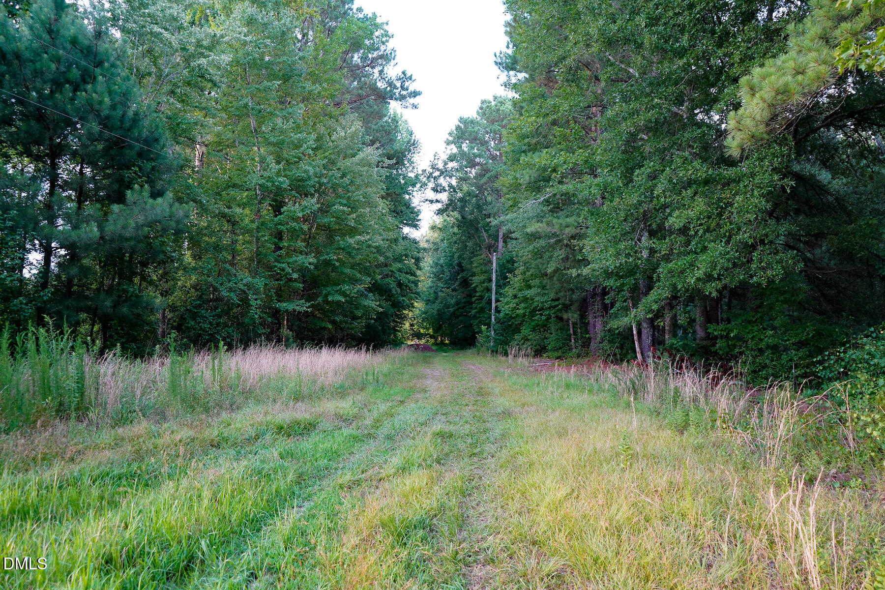 19.2 Acres Bunnlevel Erwin Road Property Photo 9