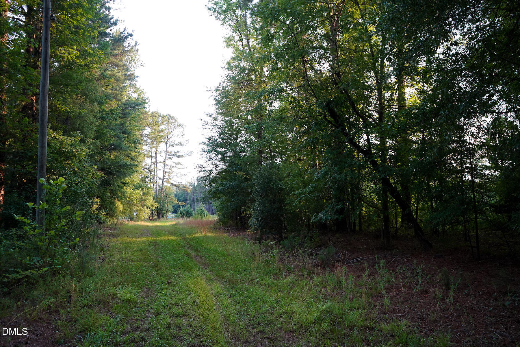 19.2 Acres Bunnlevel Erwin Road Property Photo 10