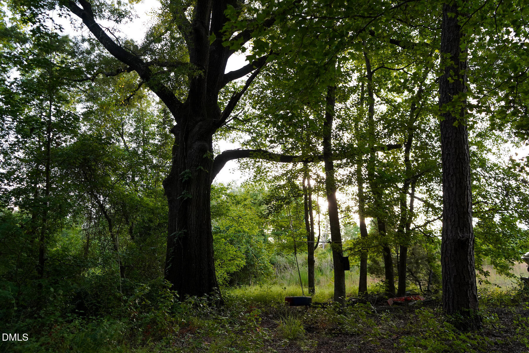 19.2 Acres Bunnlevel Erwin Road Property Photo 11