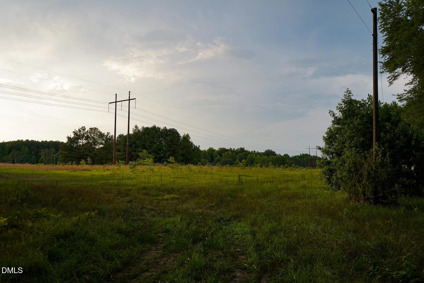 19.2 Acres Bunnlevel Erwin Road Property Photo 16