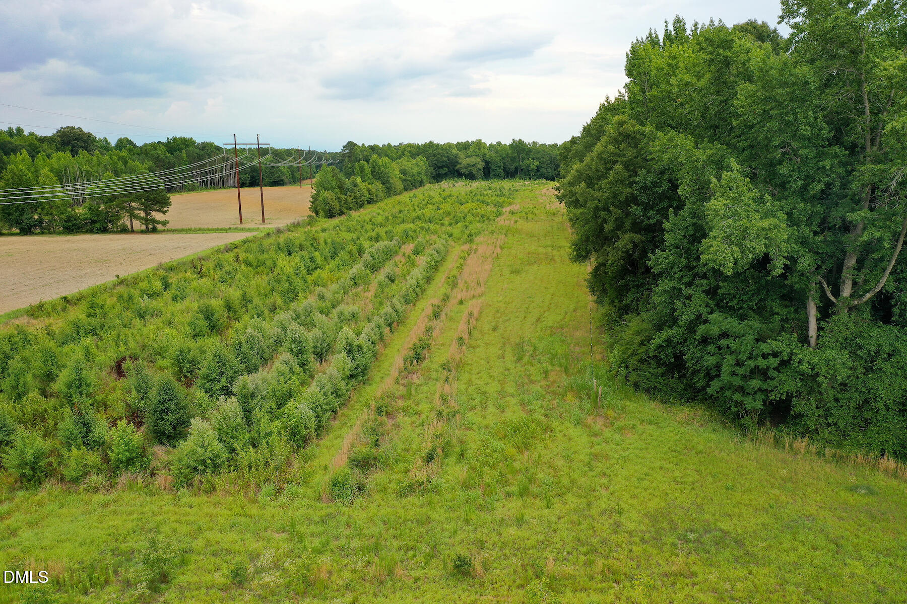 19.2 Acres Bunnlevel Erwin Road Property Photo 17