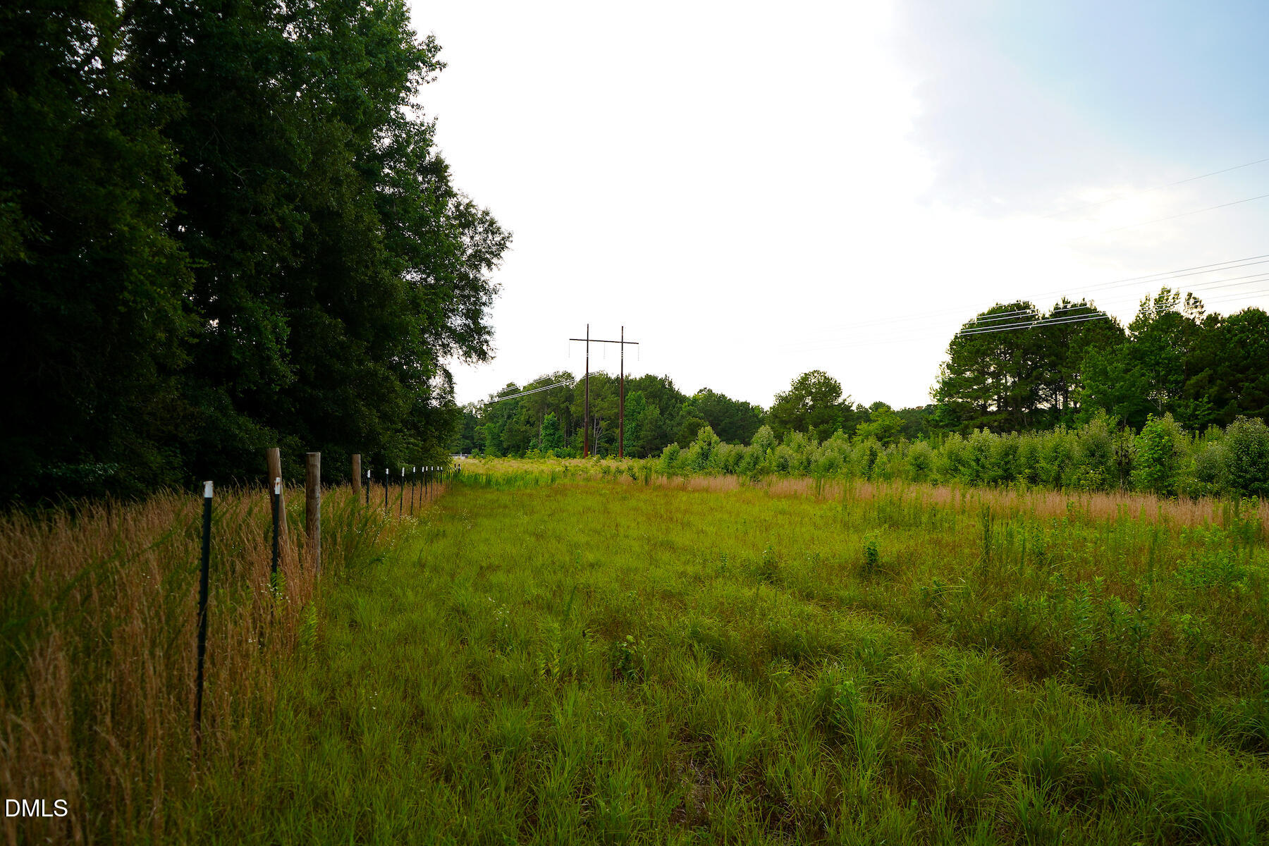 19.2 Acres Bunnlevel Erwin Road Property Photo 22