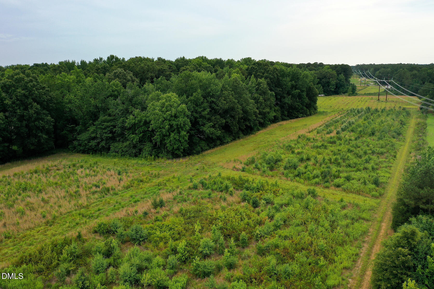 19.2 Acres Bunnlevel Erwin Road Property Photo 23
