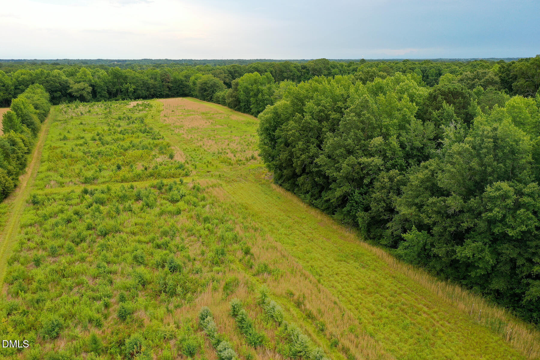19.2 Acres Bunnlevel Erwin Road Property Photo 24
