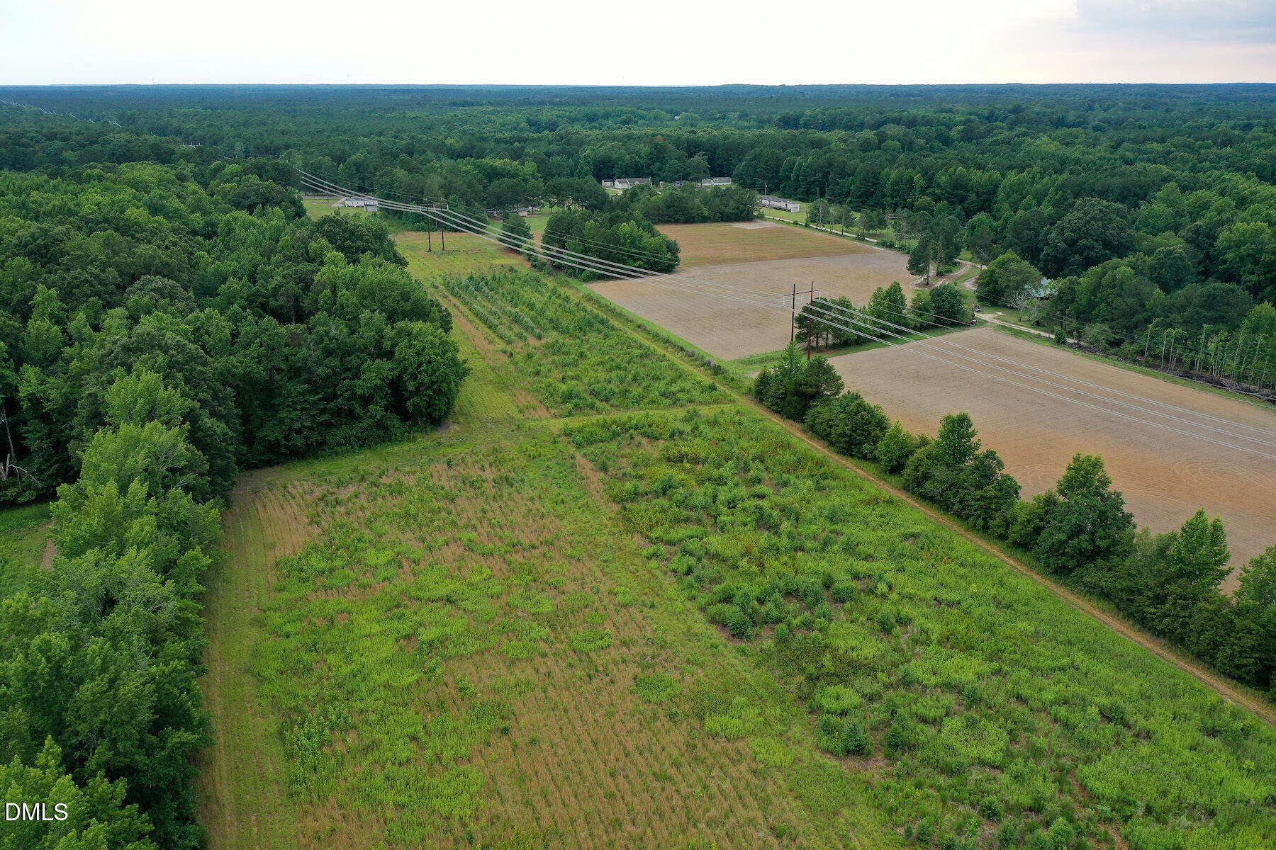 19.2 Acres Bunnlevel Erwin Road Property Photo 25