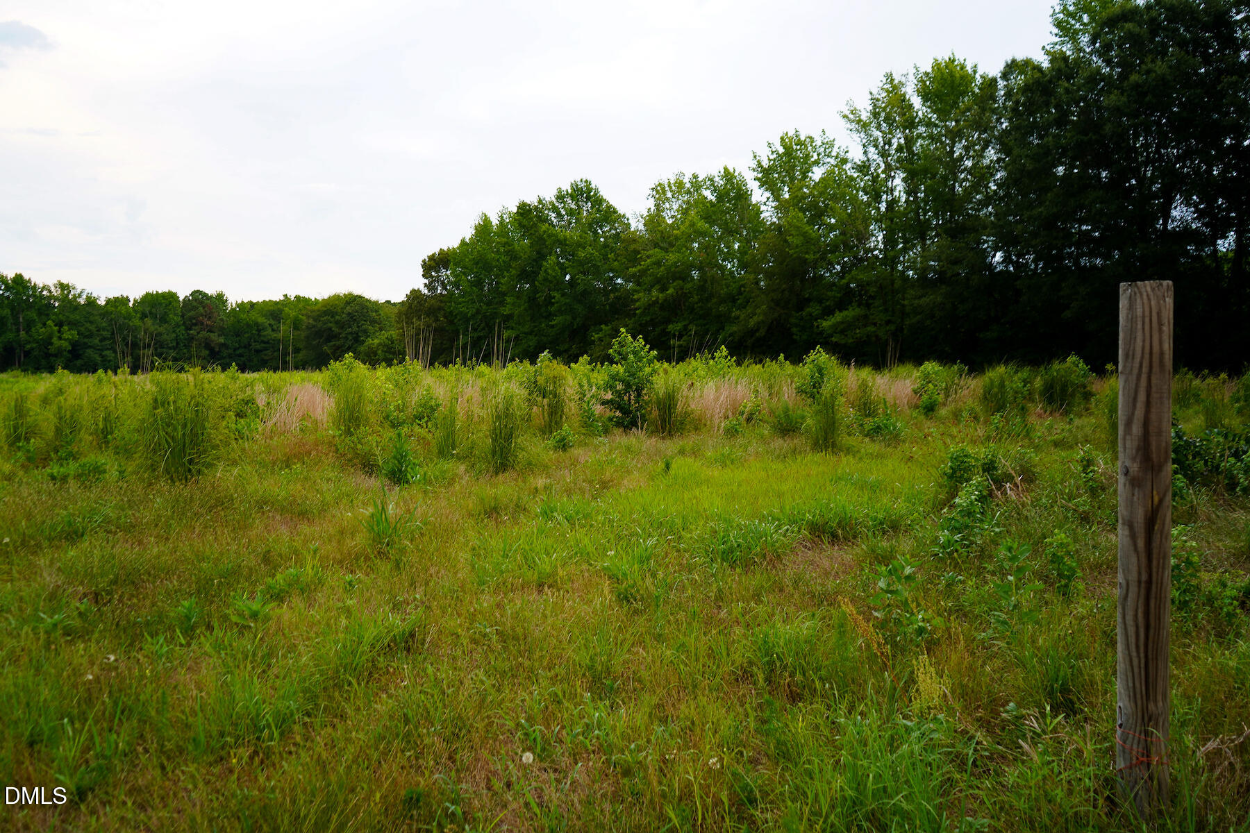 19.2 Acres Bunnlevel Erwin Road Property Photo 26