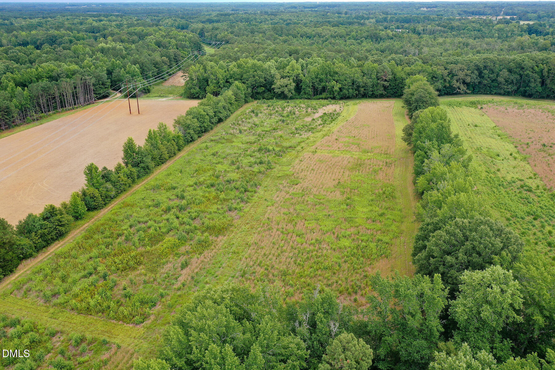 19.2 Acres Bunnlevel Erwin Road Property Photo 27
