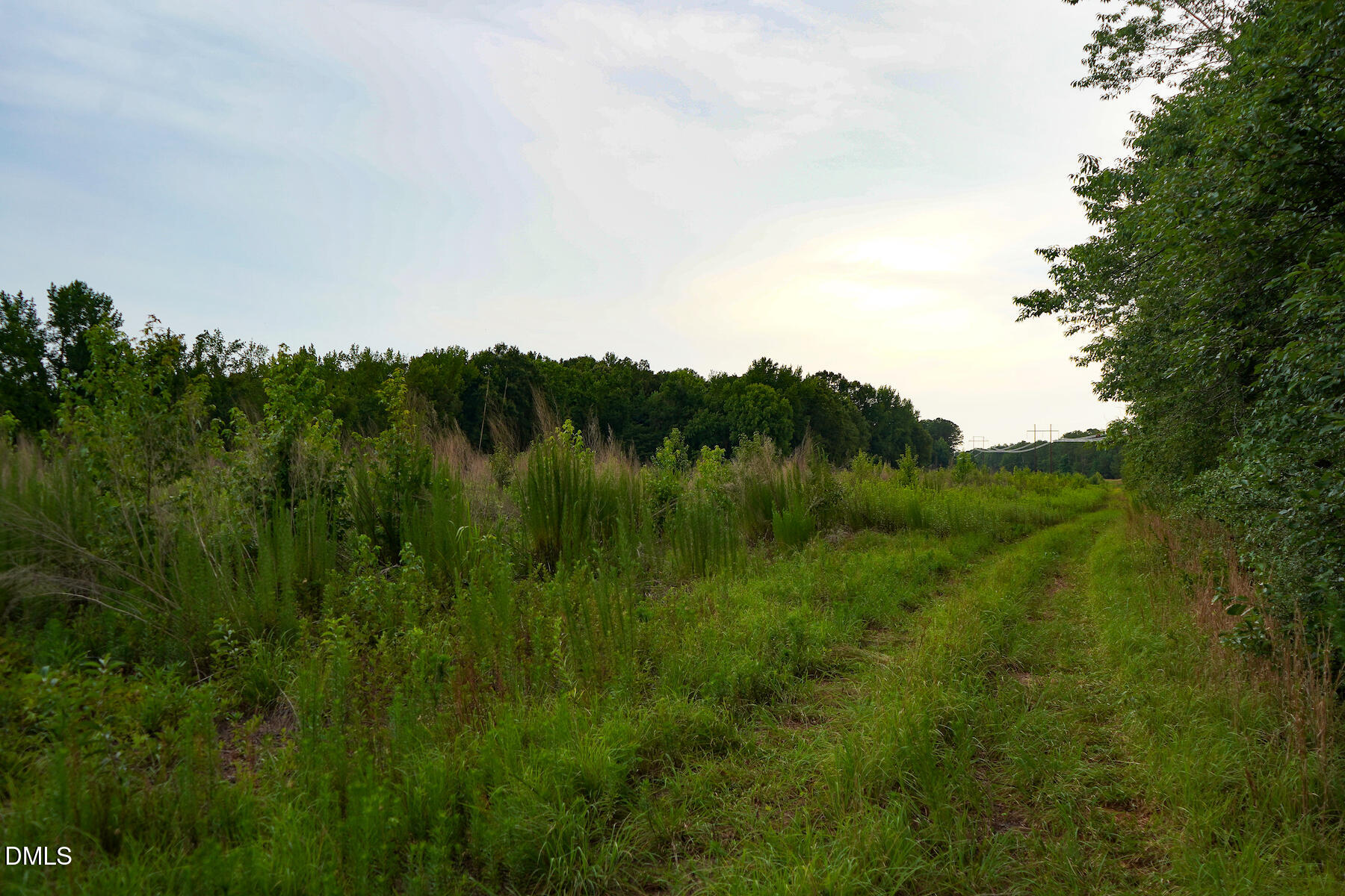 19.2 Acres Bunnlevel Erwin Road Property Photo 28
