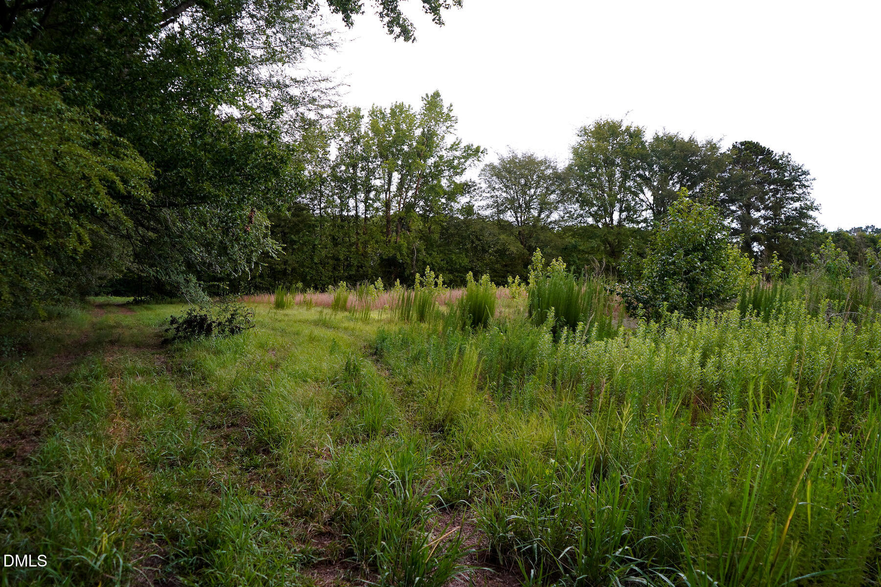 19.2 Acres Bunnlevel Erwin Road Property Photo 29