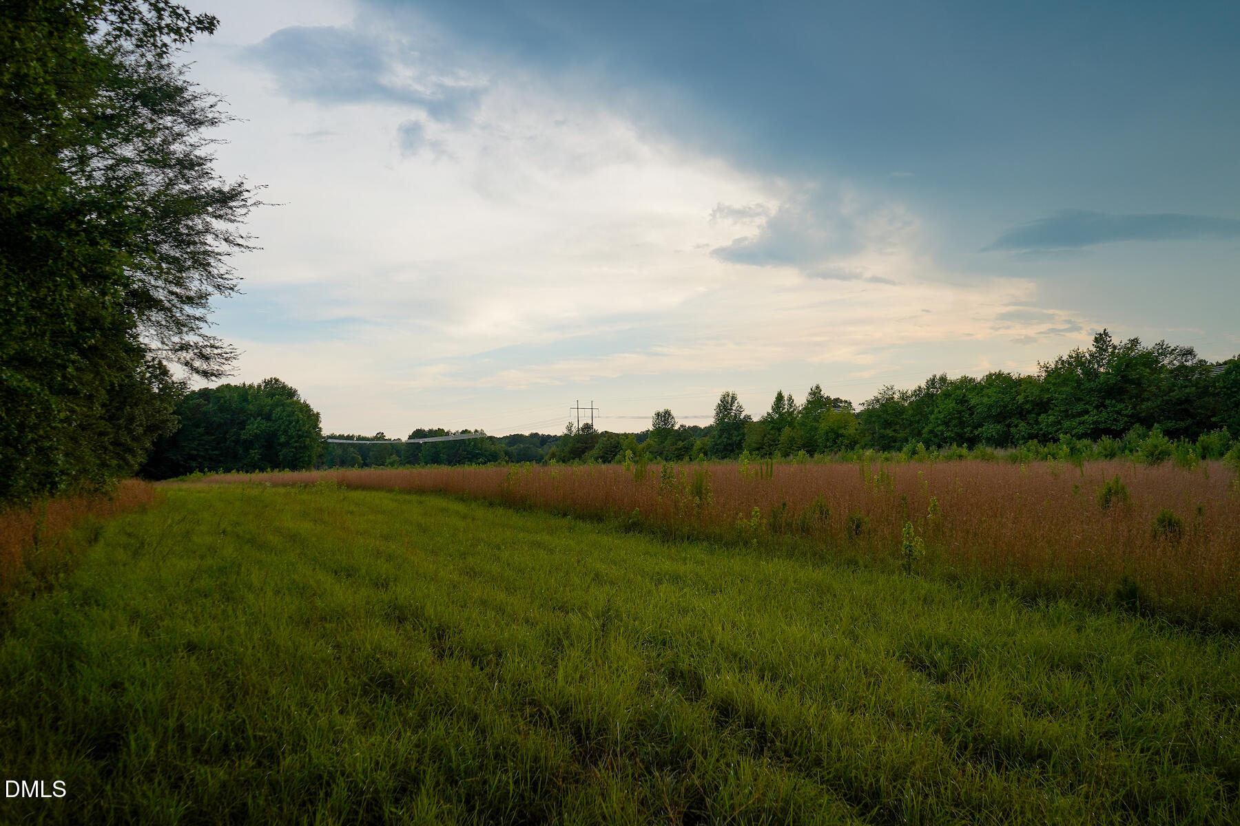 19.2 Acres Bunnlevel Erwin Road Property Photo 30