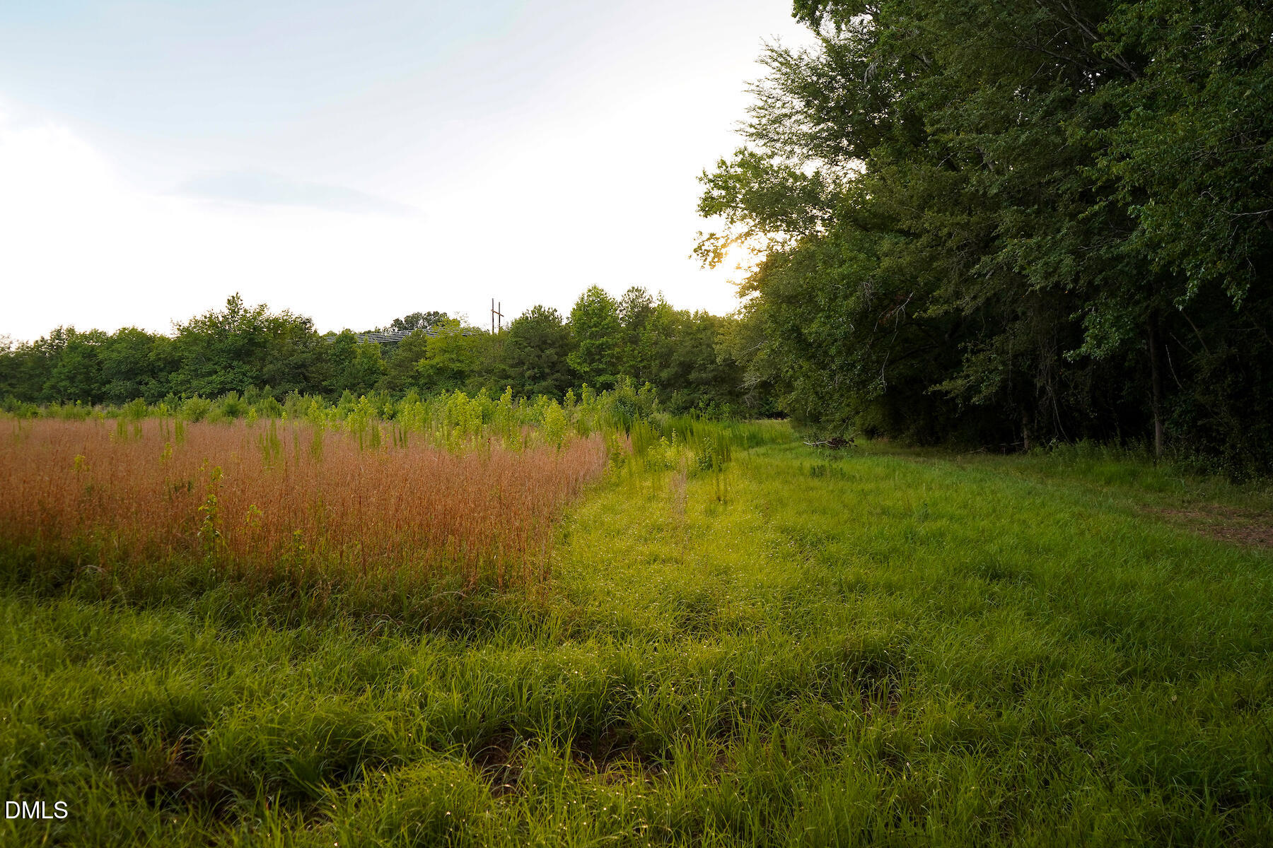 19.2 Acres Bunnlevel Erwin Road Property Photo 31