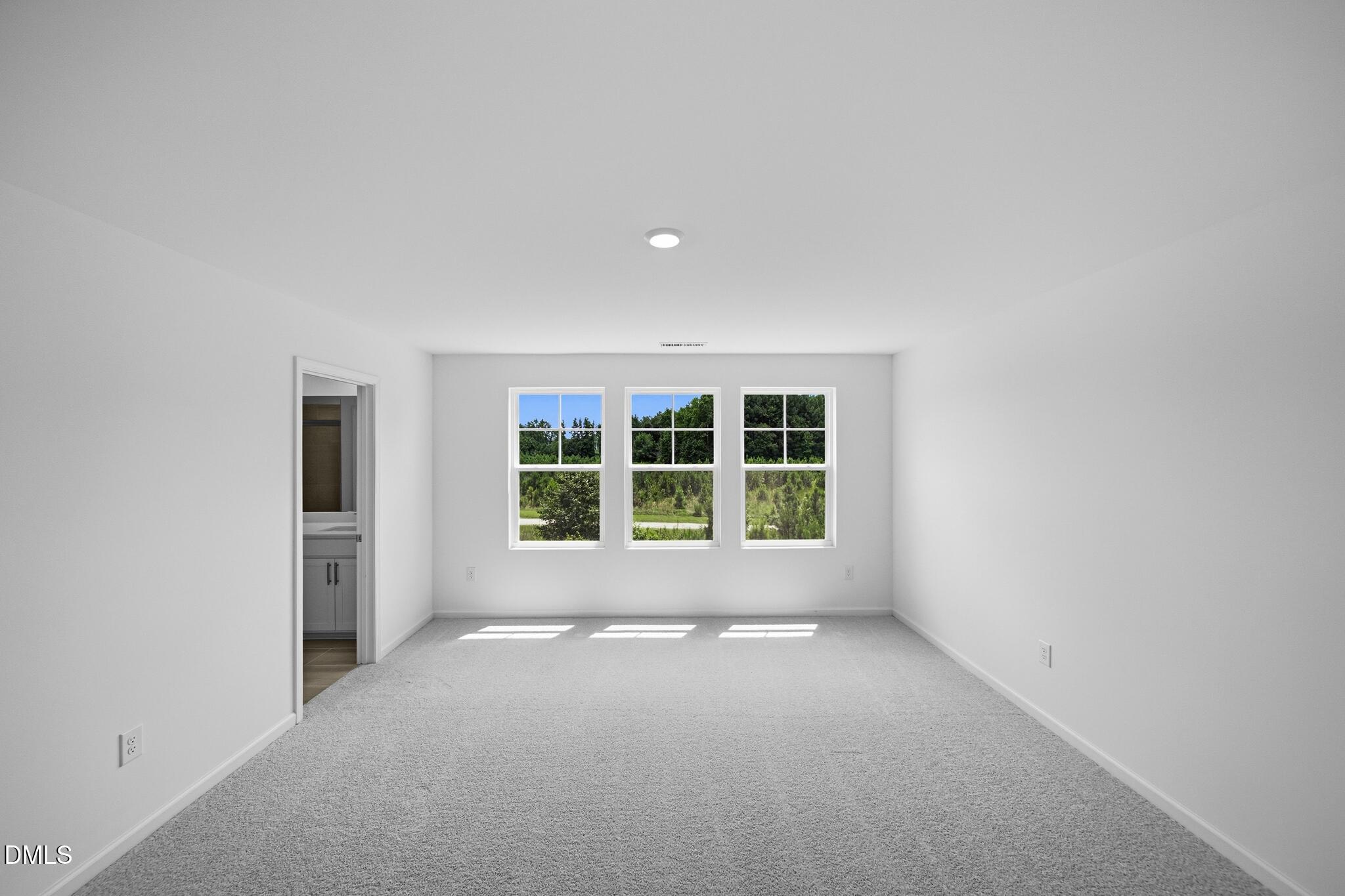1211 Blue Dasher Lane Property Photo 11