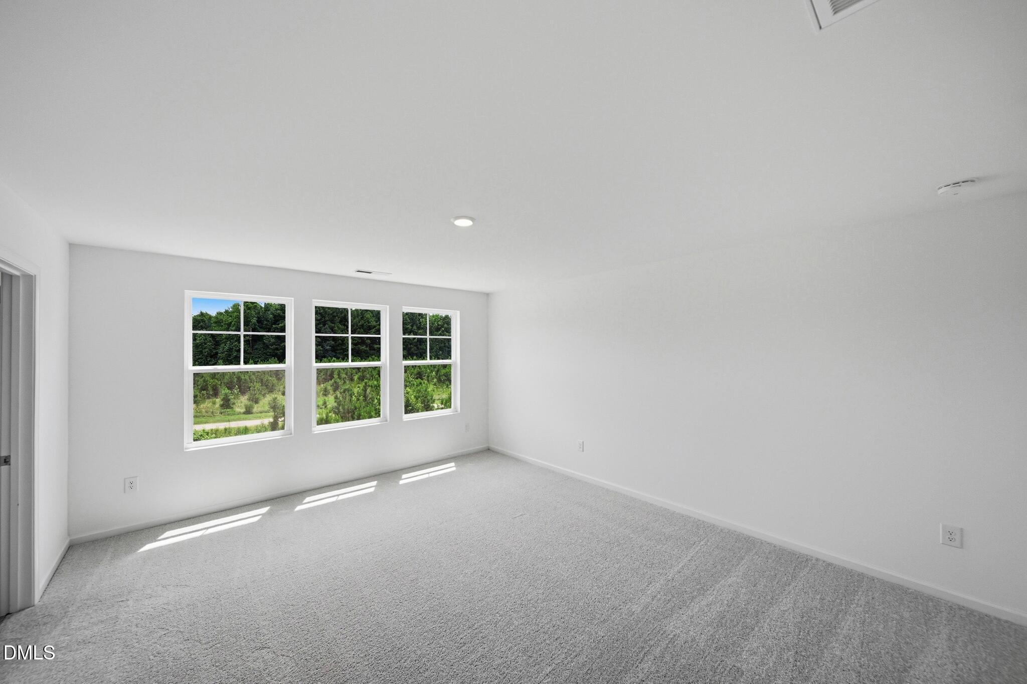 1211 Blue Dasher Lane Property Photo 12