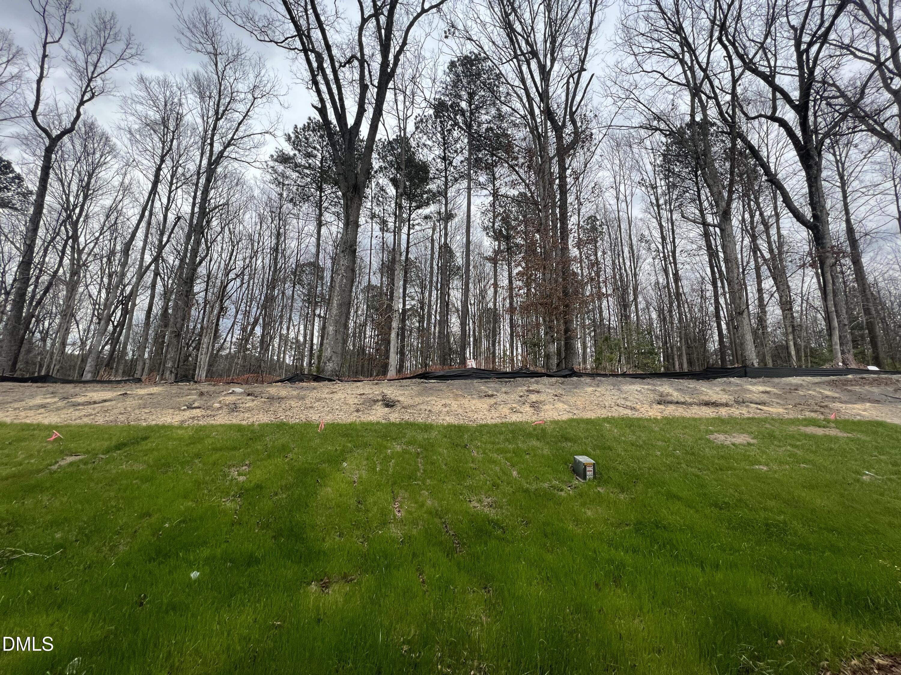 2533 Chert Lane Property Photo 27