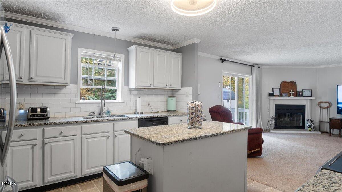 167 Spring Branch Drive Property Photo 12