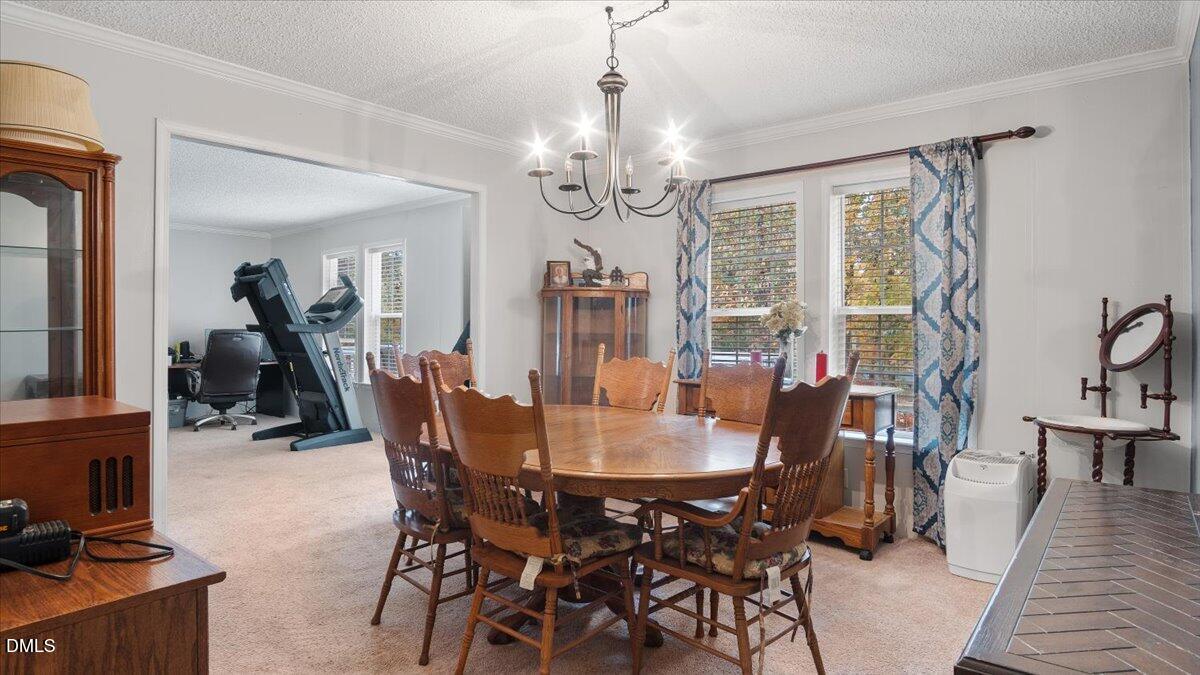 167 Spring Branch Drive Property Photo 13