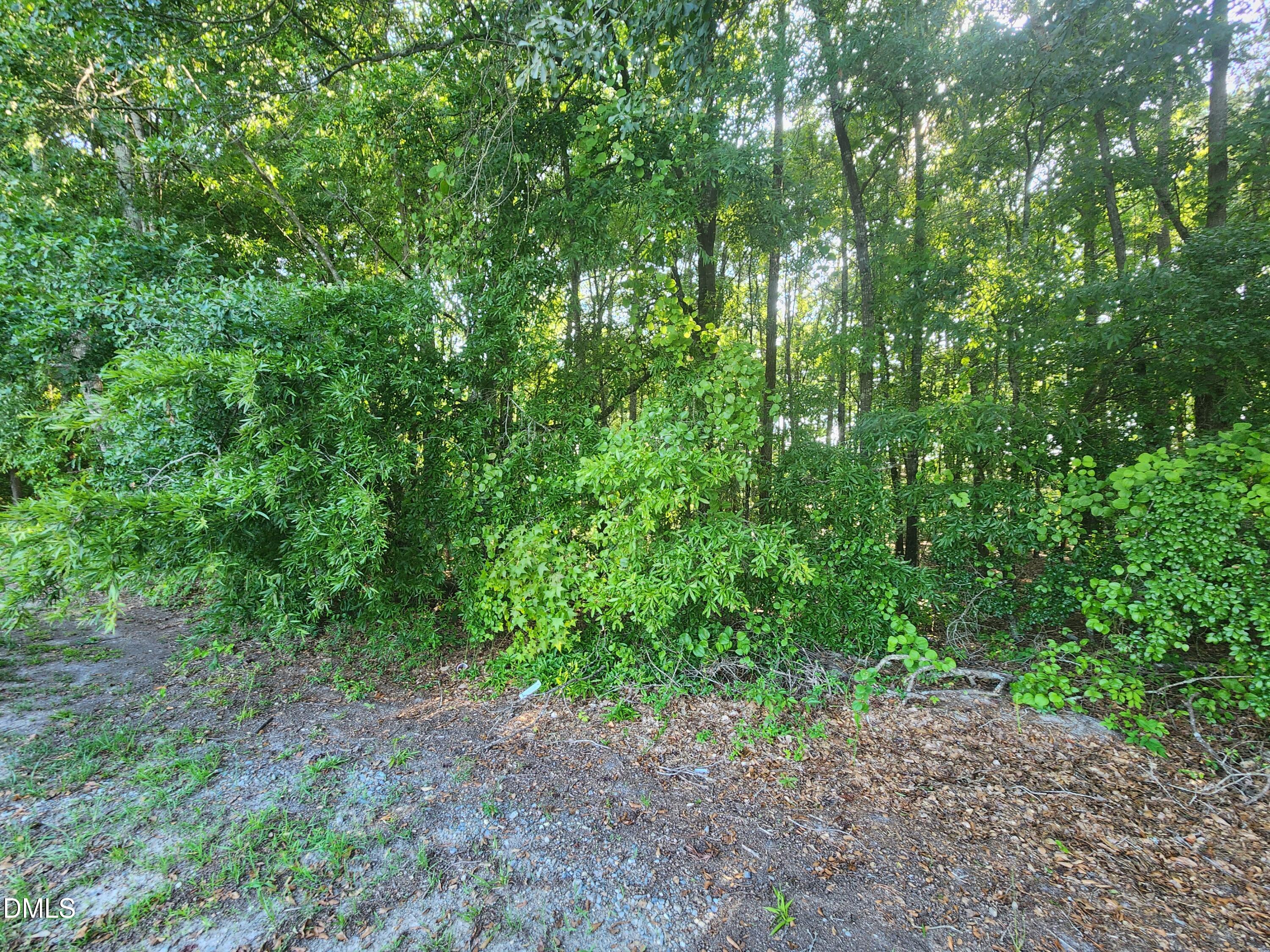 995 B Barbour Road Property Photo 6