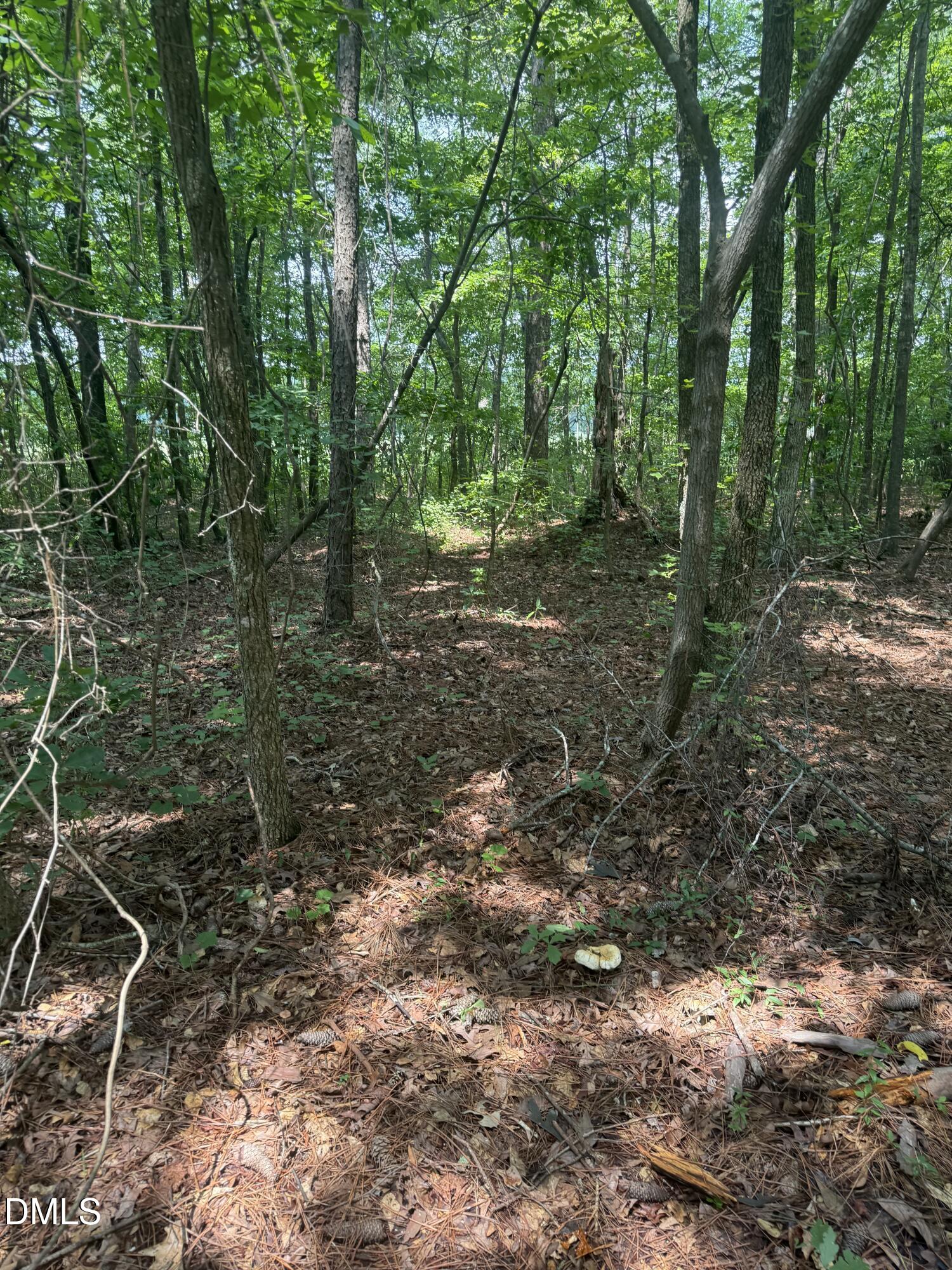 995 B Barbour Road Property Photo 9