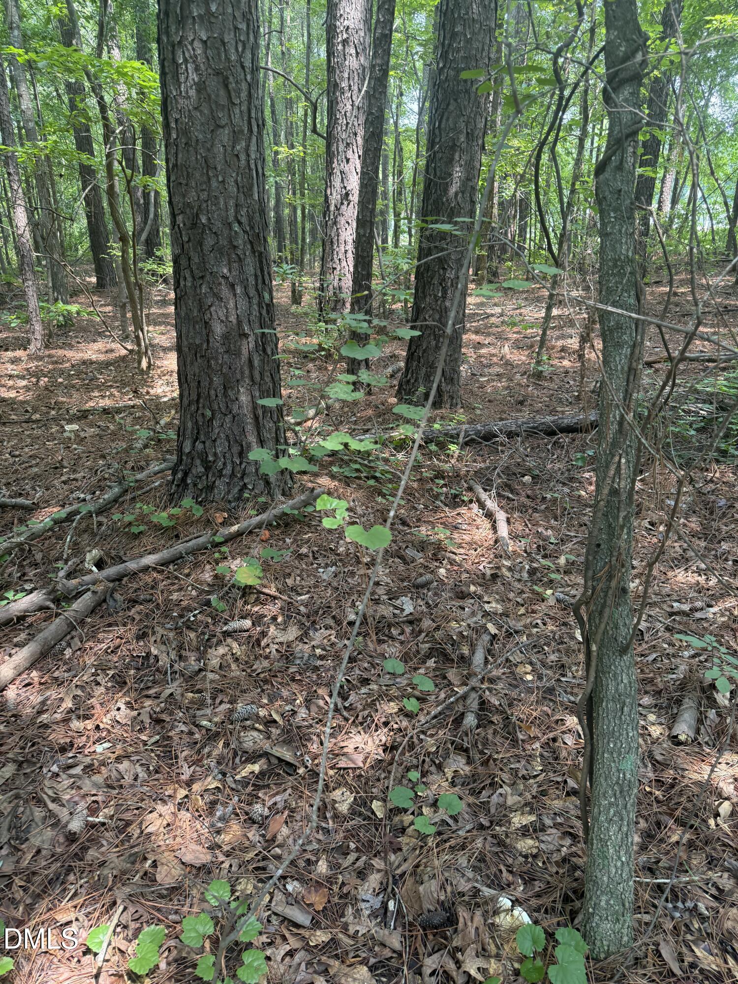 995 B Barbour Road Property Photo 10