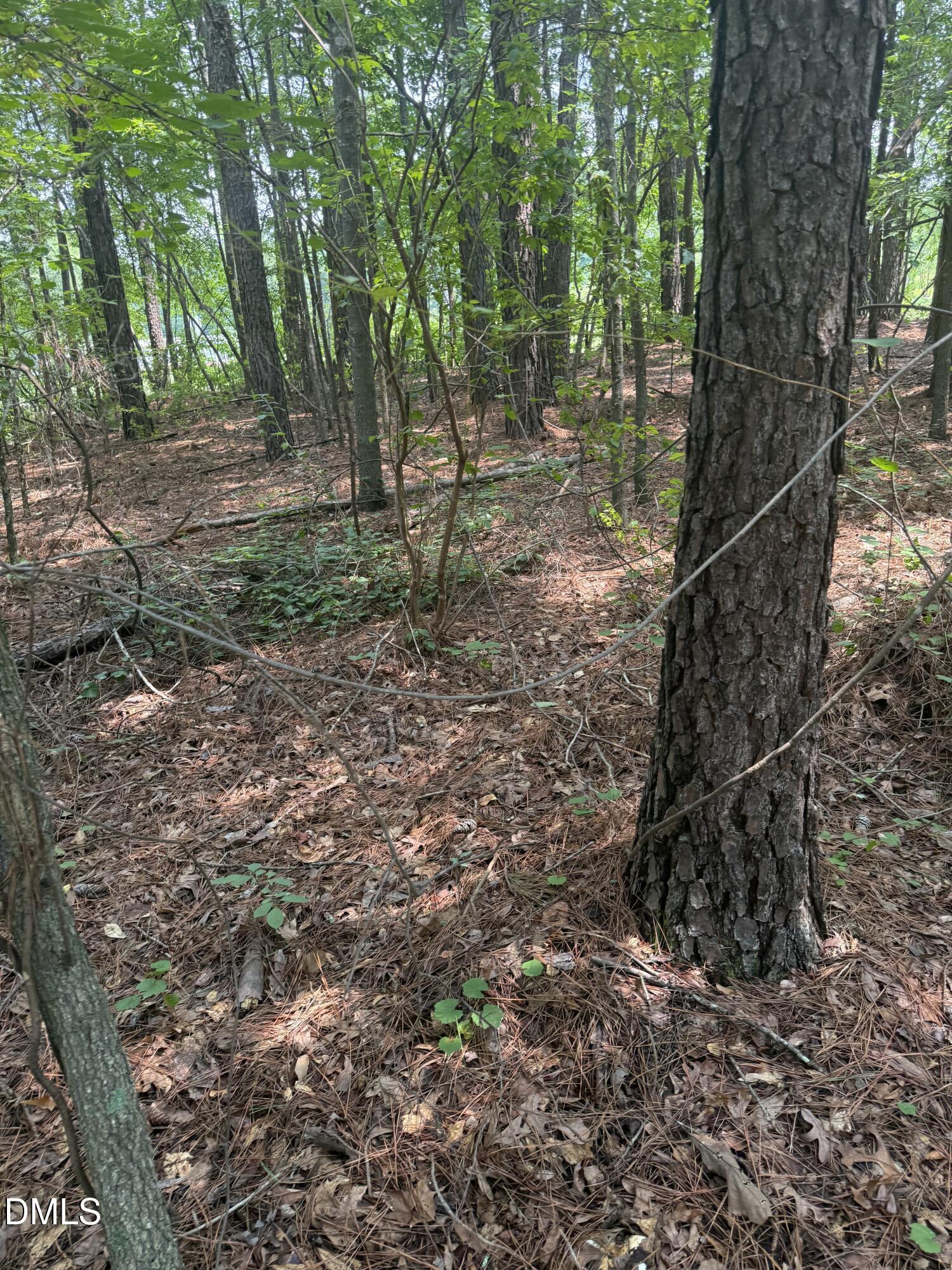 995 B Barbour Road Property Photo 12