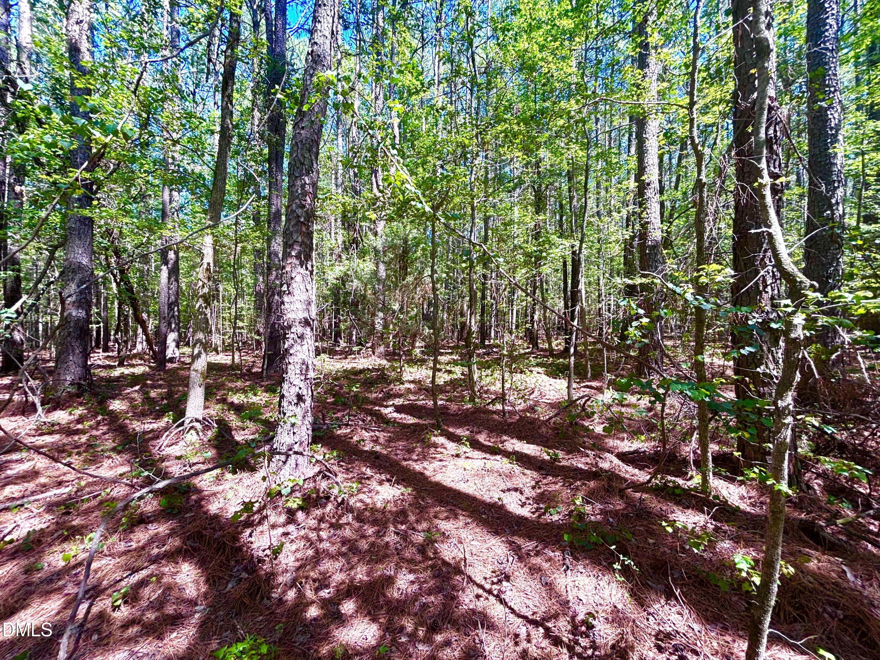 0 Pool Rock Plantation Lane Property Photo 1