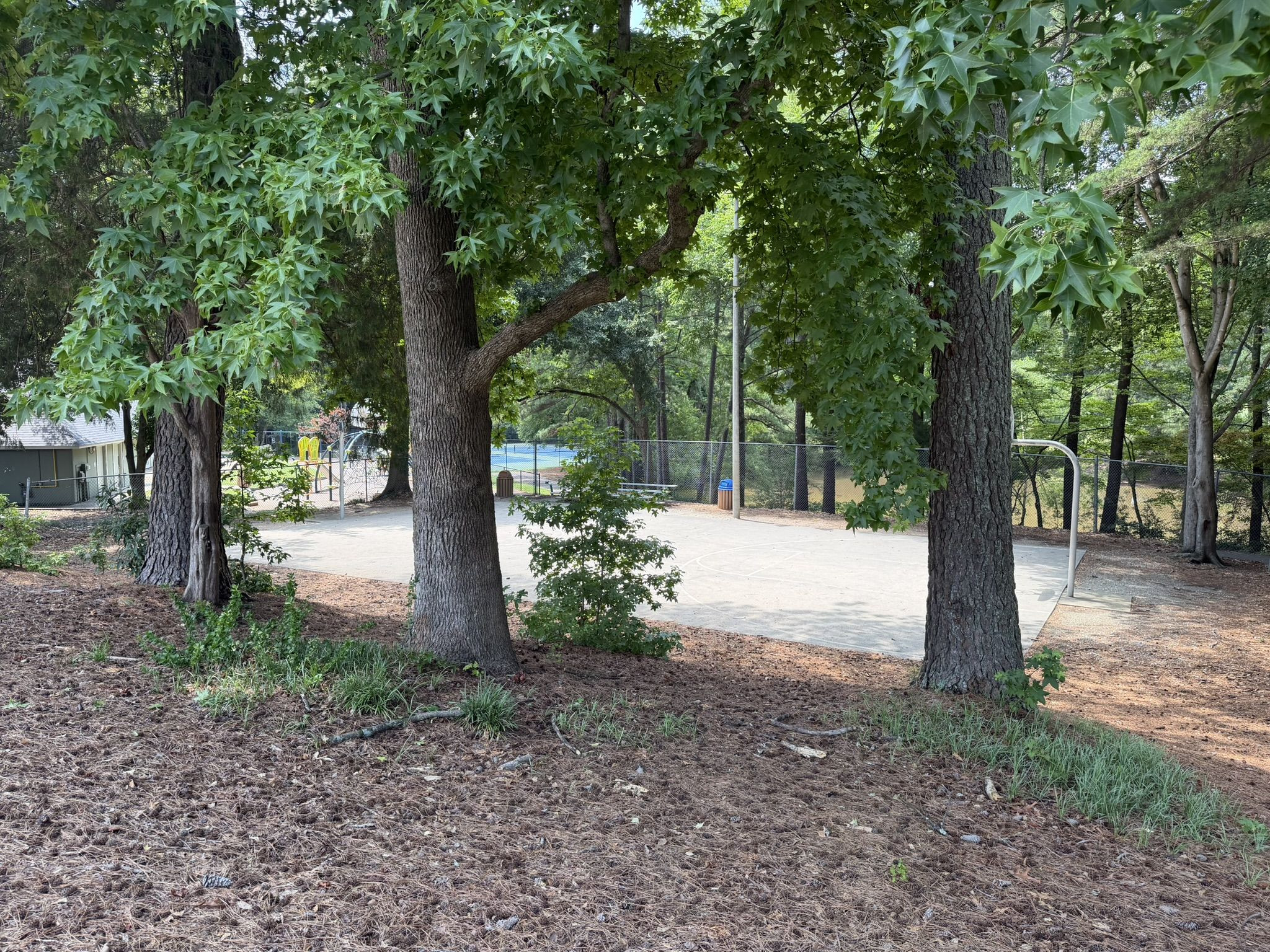 708 Powell Drive A Property Photo 57
