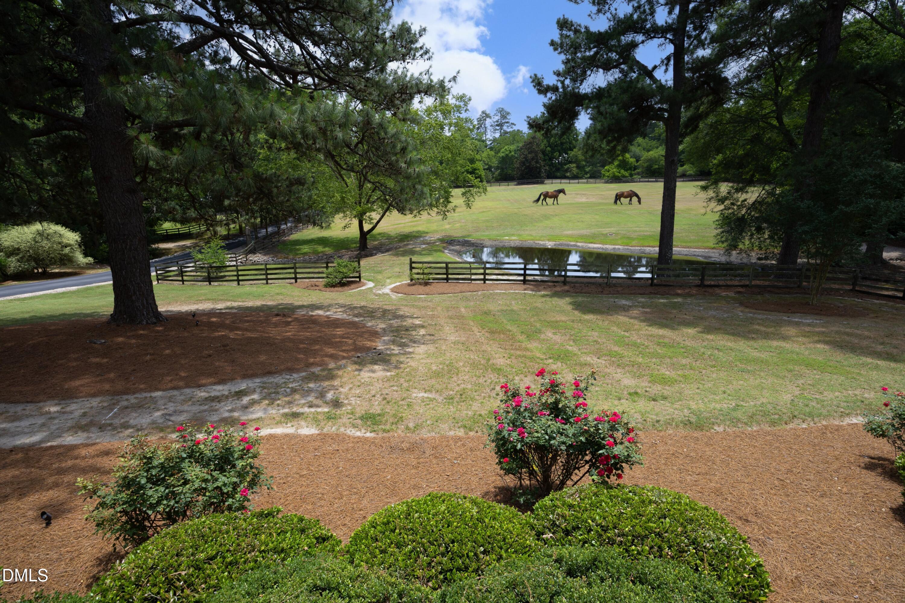 4205 Millpoint Drive Property Photo 5