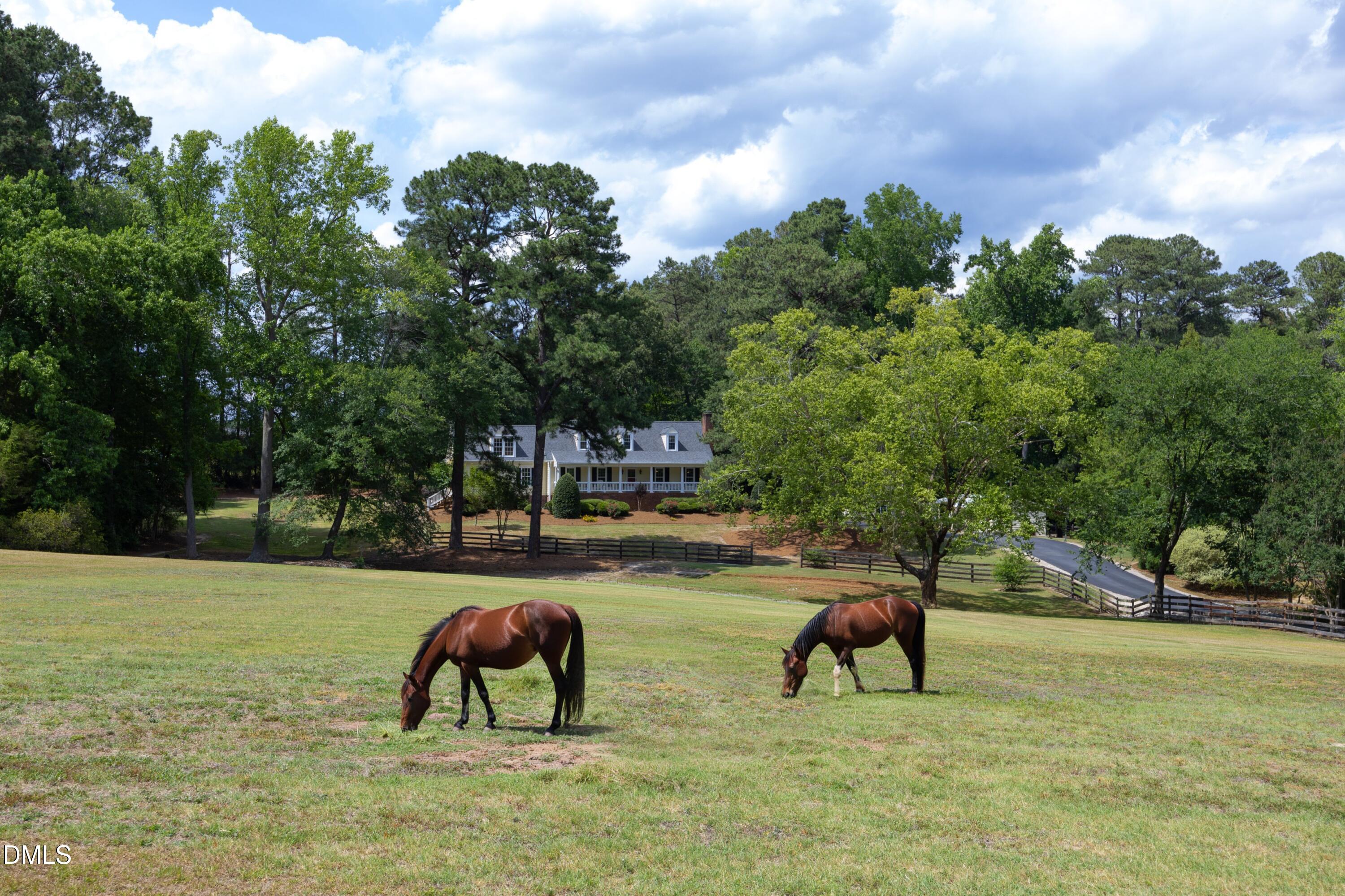 4205 Millpoint Drive Property Photo 8