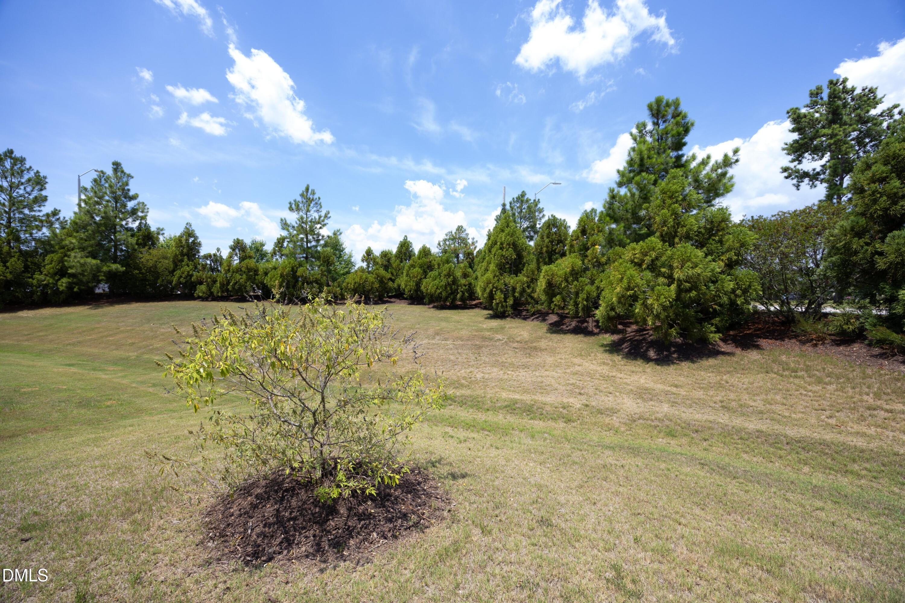 1173 Hodgson Lane Property Photo 46