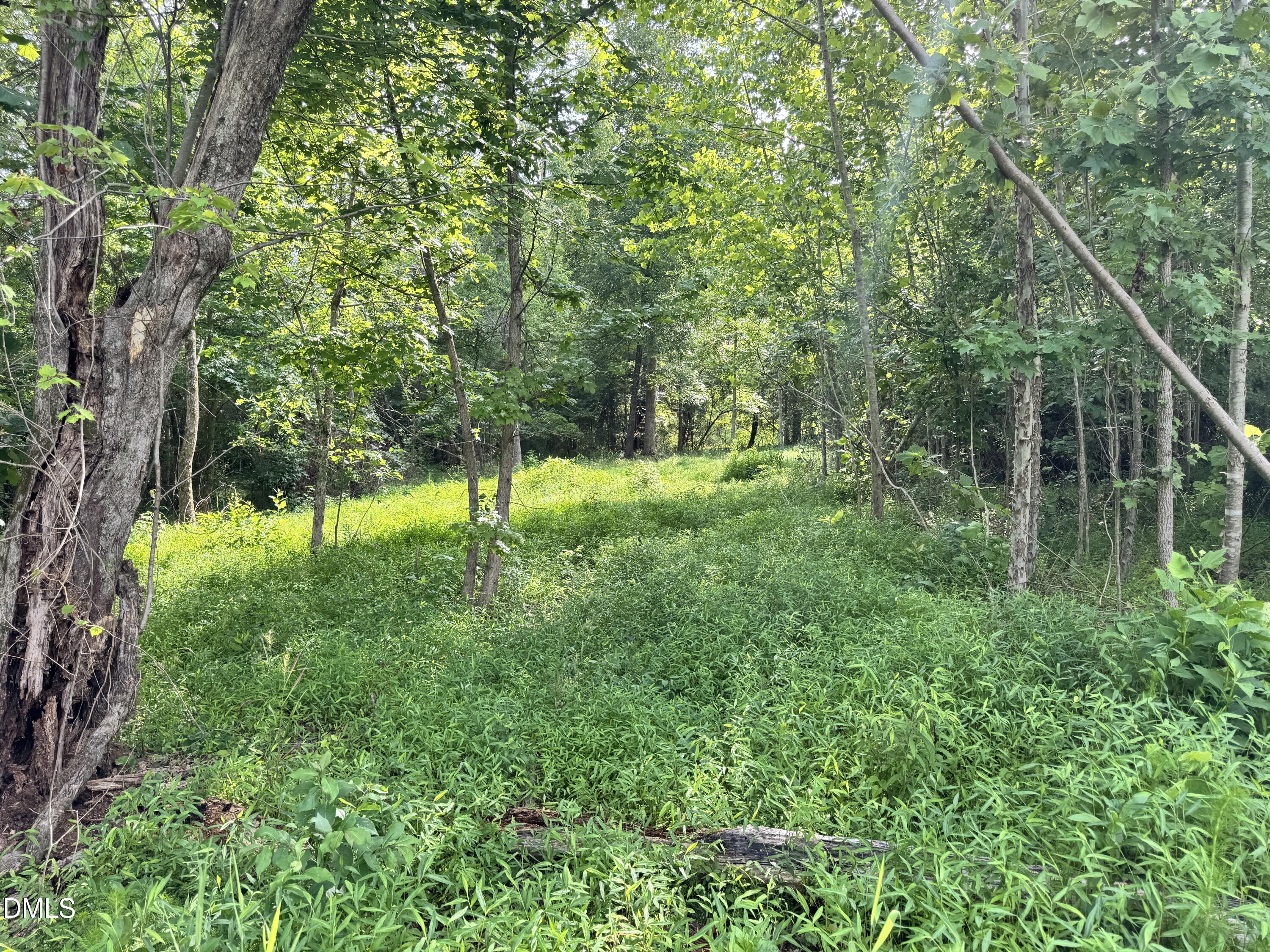 2 Gray Road Property Photo 17