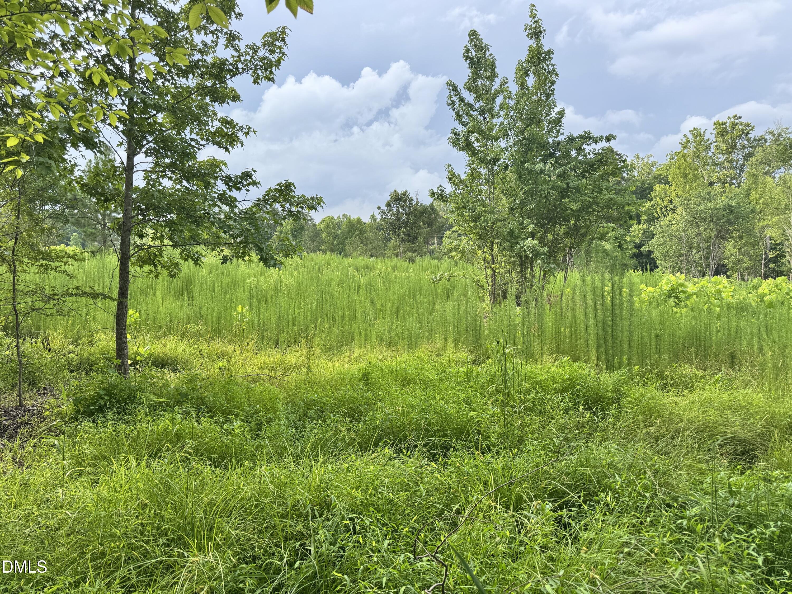 2 Gray Road Property Photo 18