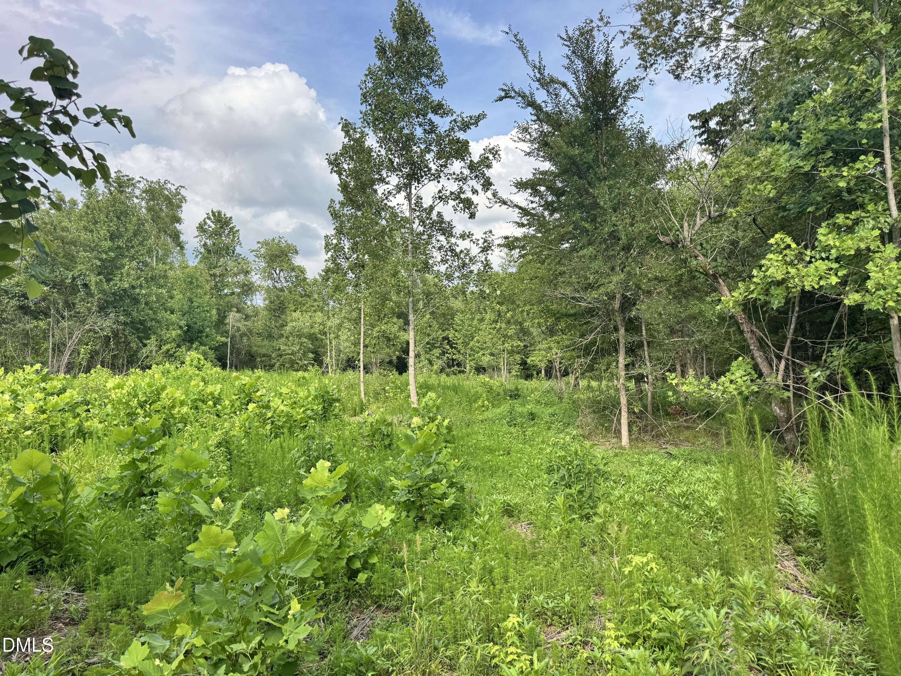 2 Gray Road Property Photo 19