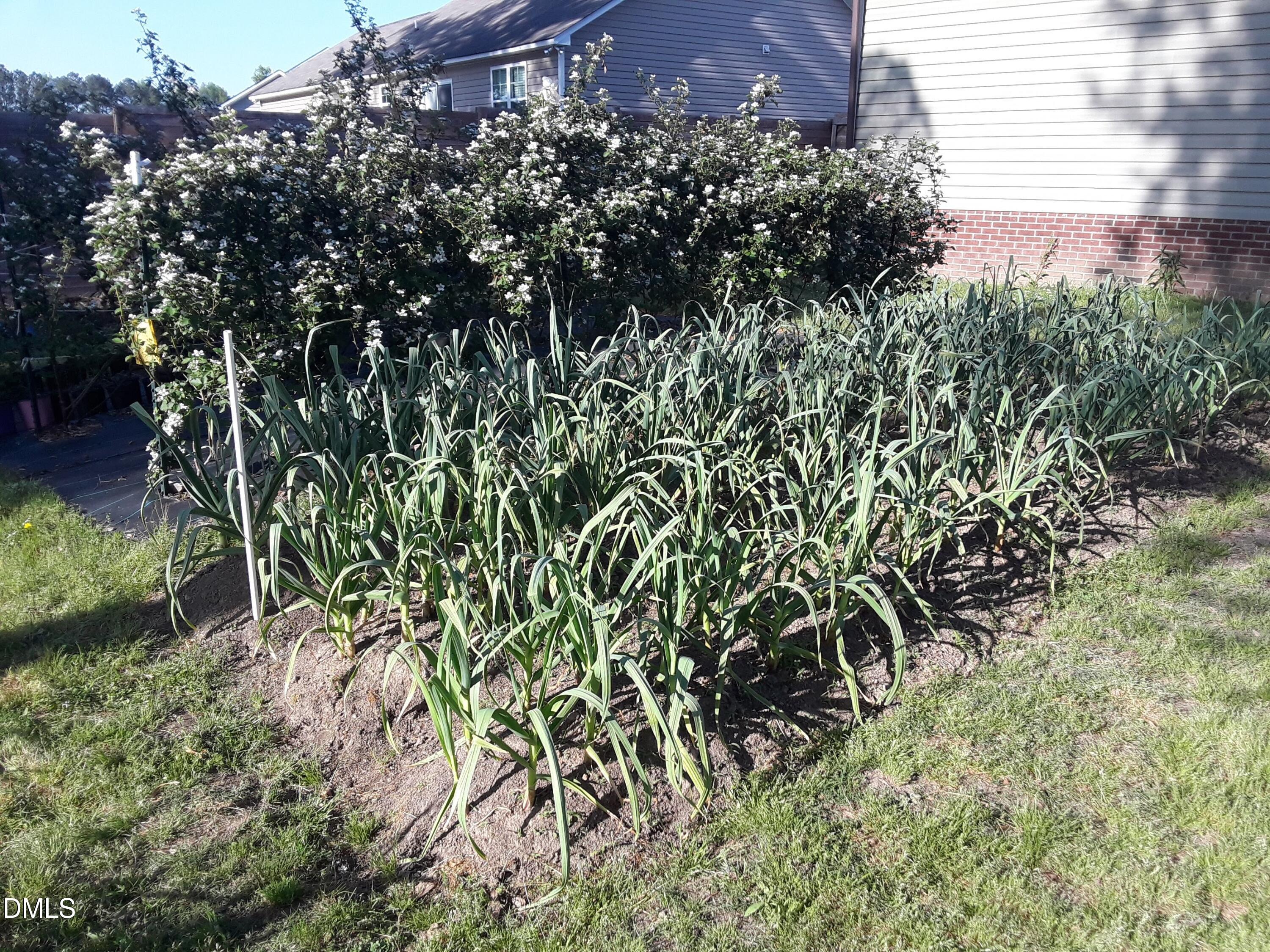 258 Country Day Circle Property Photo 48