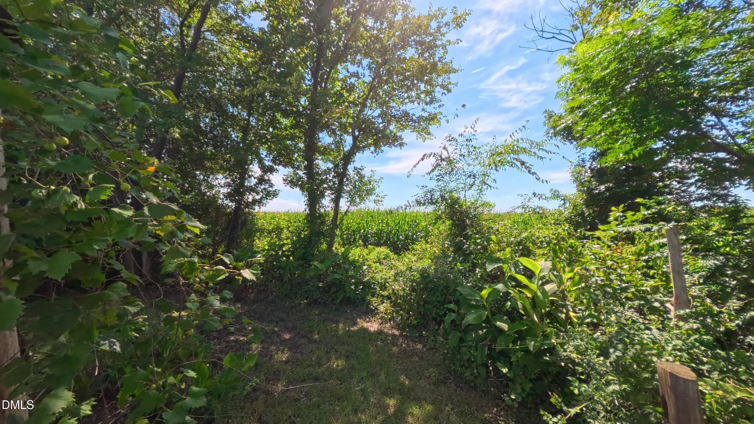 258 Country Day Circle Property Photo 53