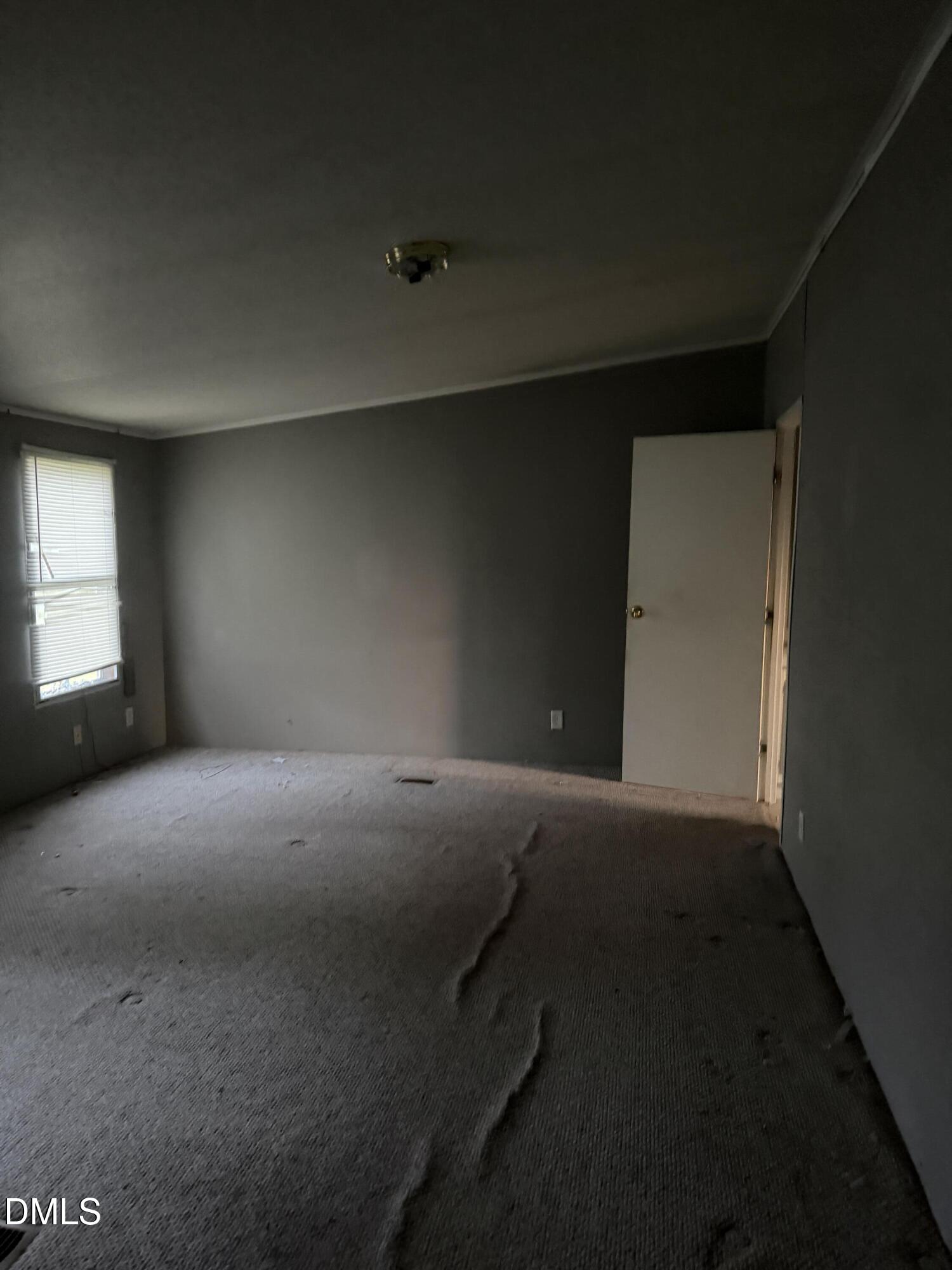 6544 Harpy Drive Property Photo 5