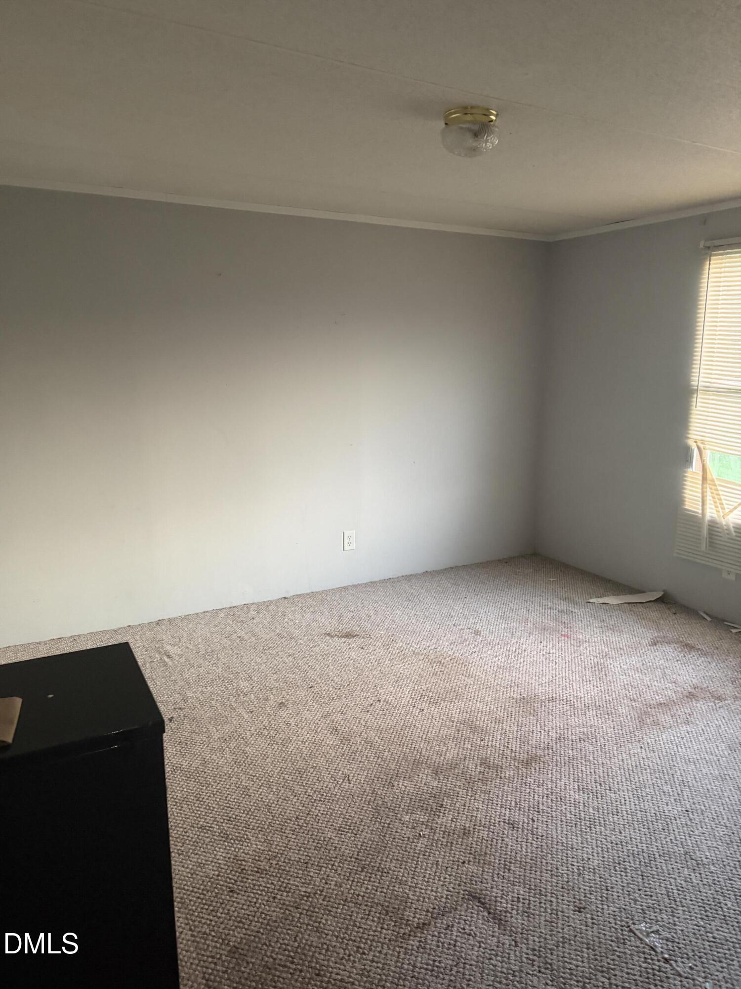 6544 Harpy Drive Property Photo 8