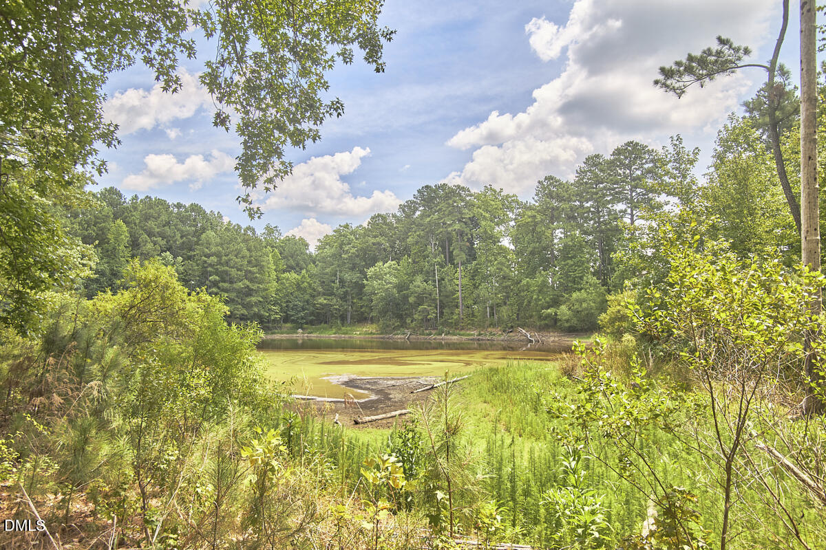 3828 Hickory Manor Drive Property Photo 64