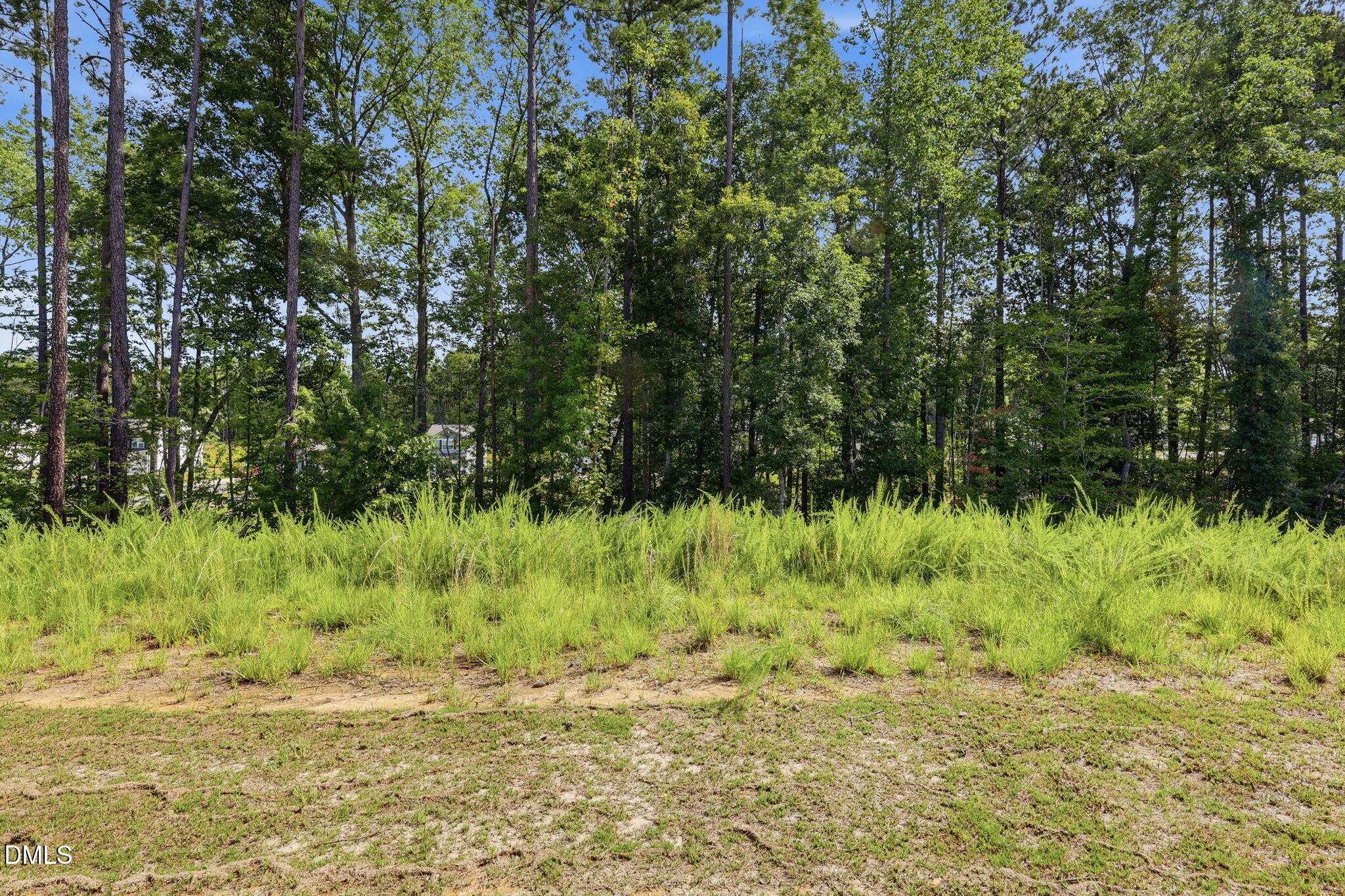 180 Everglade Way Property Photo 27