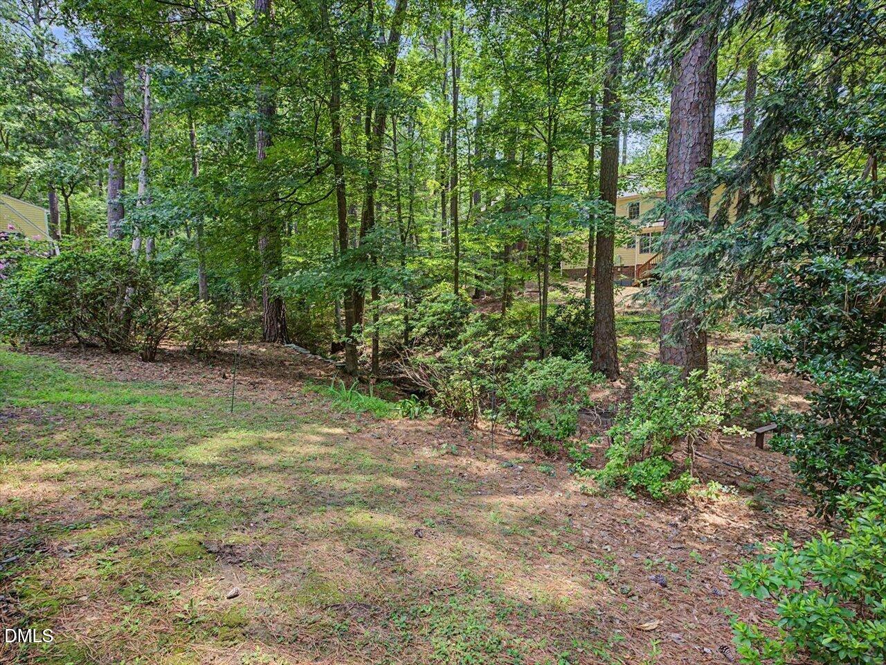 4815 Fortunes Ridge Drive Property Photo 65