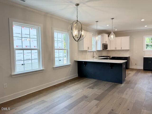 1122 Berkeley Street Property Photo 36