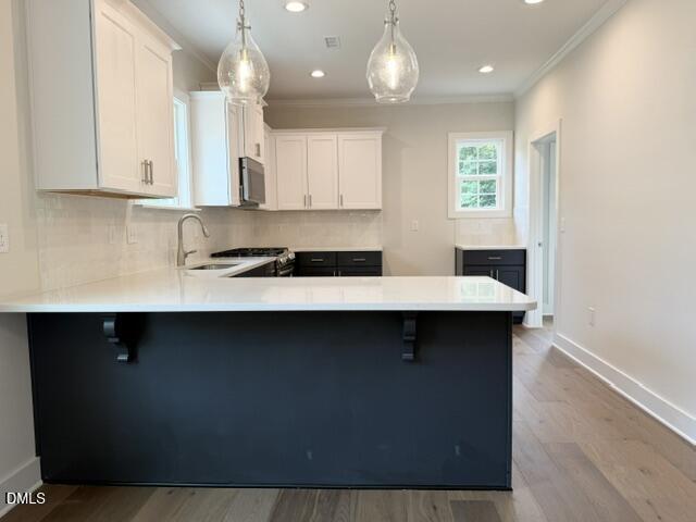 1122 Berkeley Street Property Photo 37