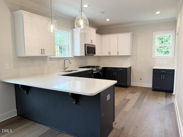 1122 Berkeley Street Property Photo 38
