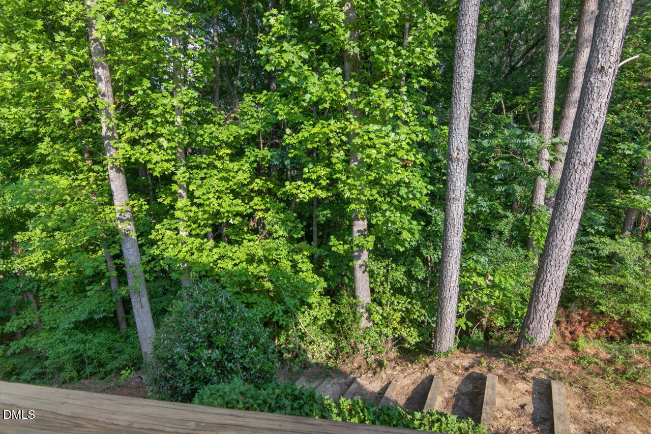 806 Carved Oak Drive Property Photo 11