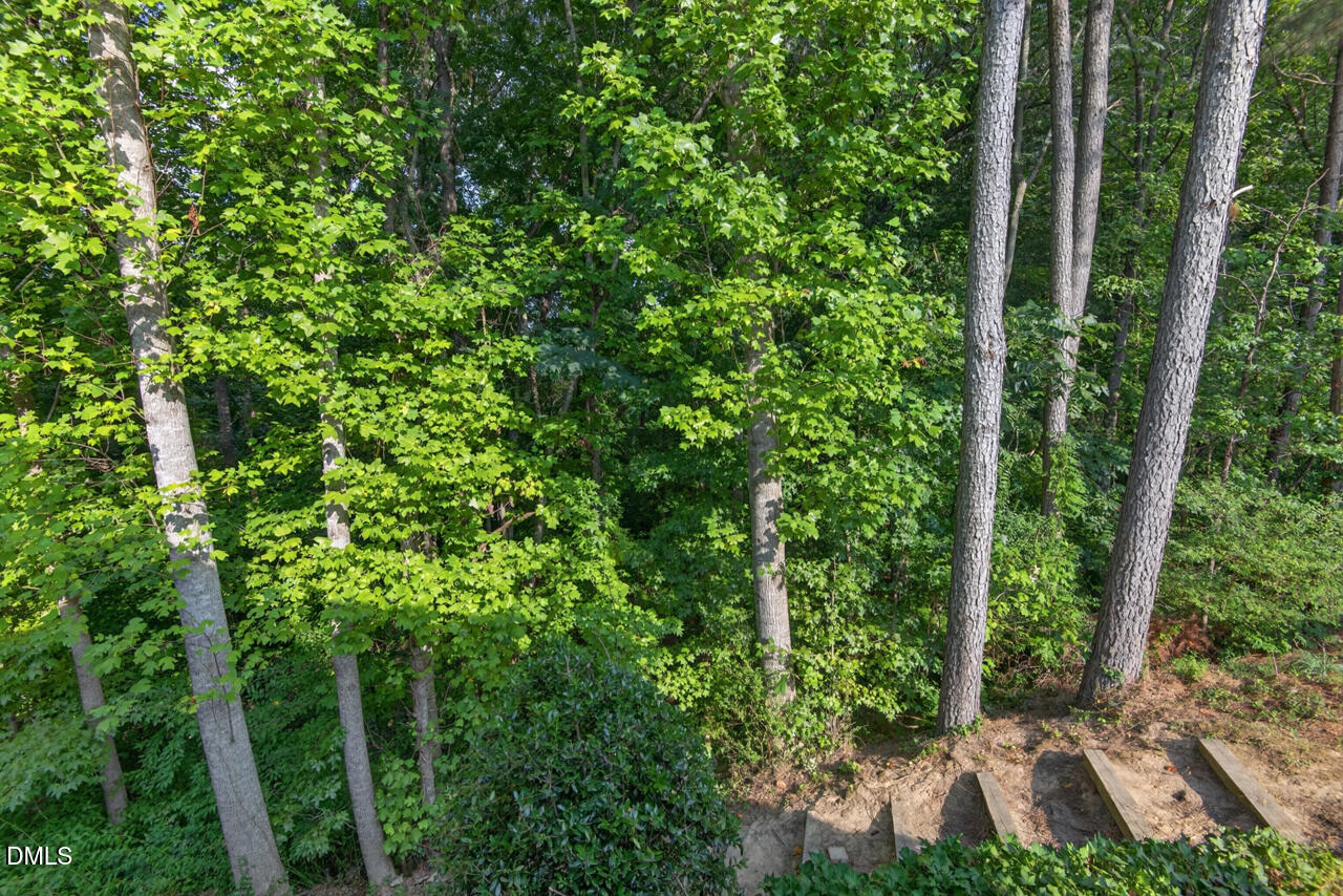 806 Carved Oak Drive Property Photo 12