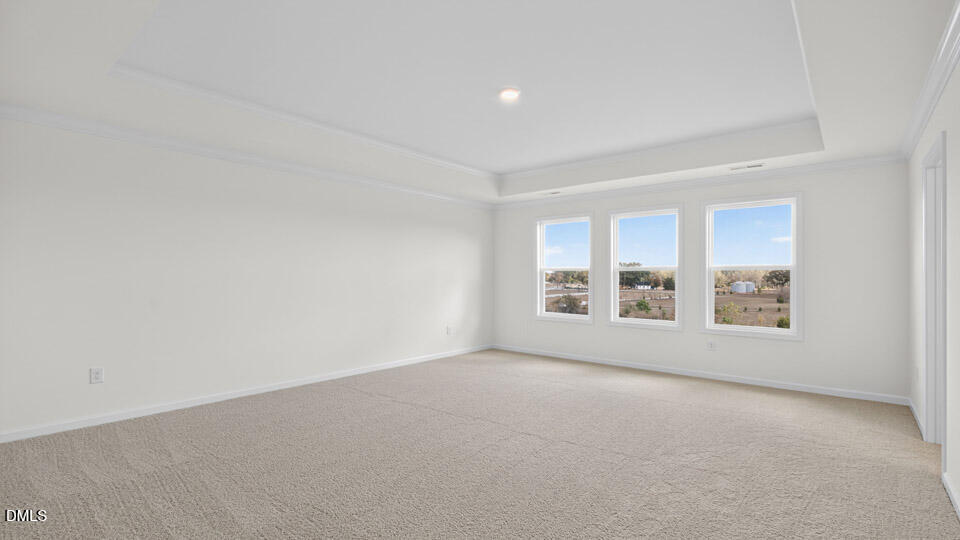 1101 Dartford Green Place Property Photo 19