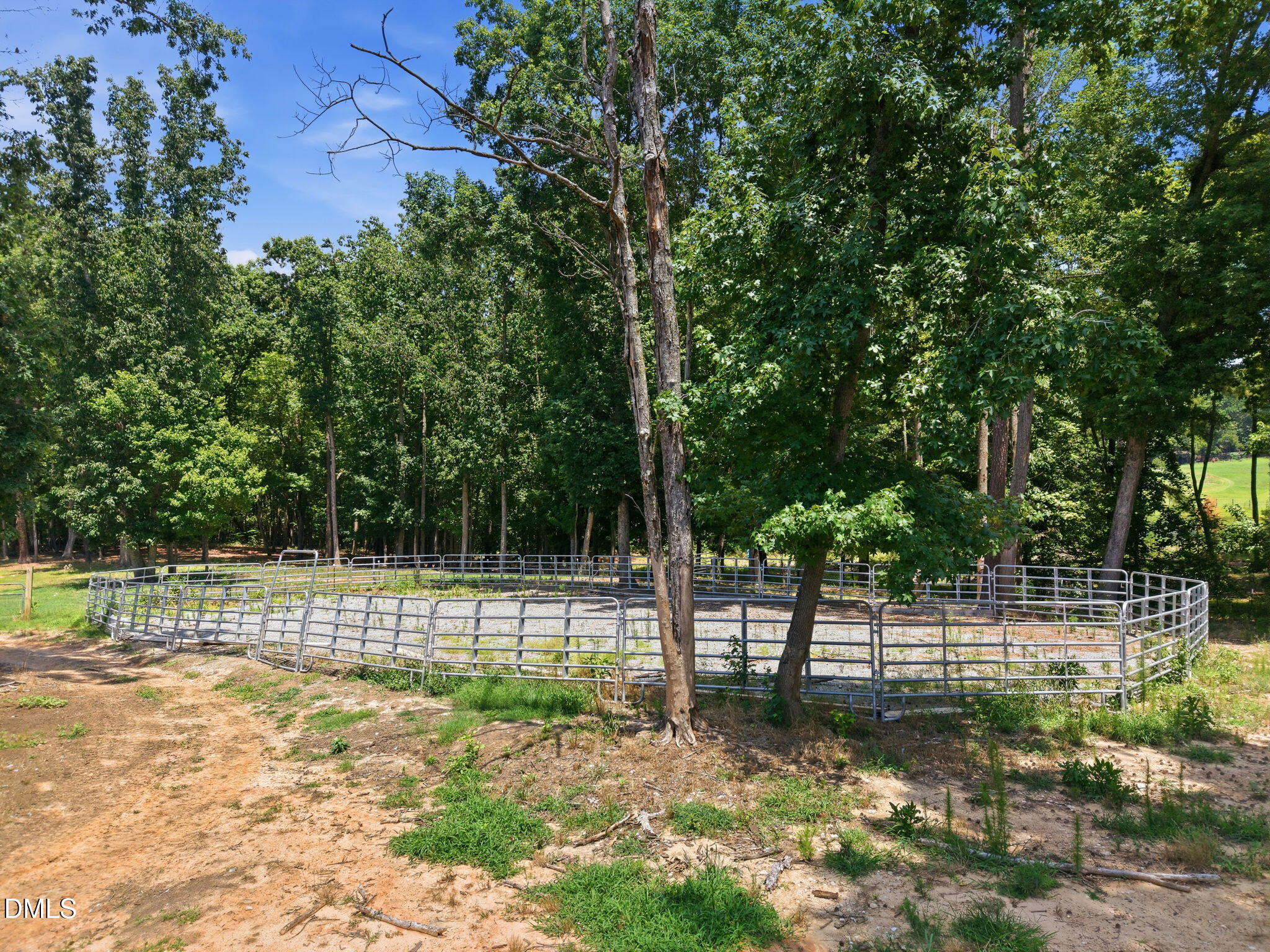 6312 Cass Holt Road Property Photo 20