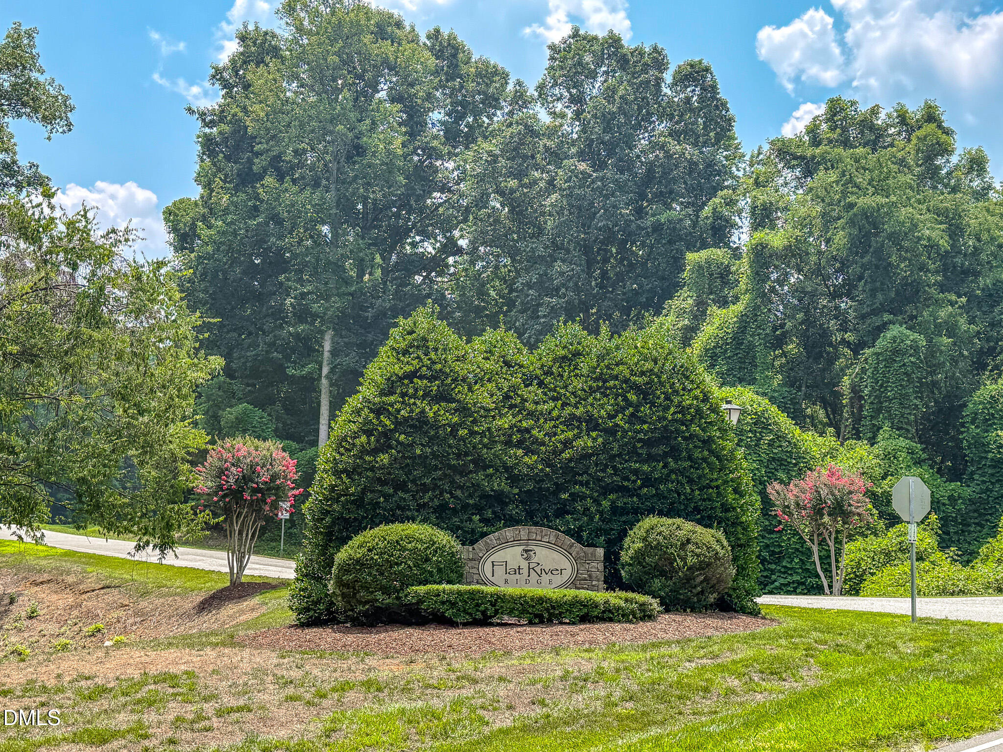 53 Flat River Circle Property Photo 71