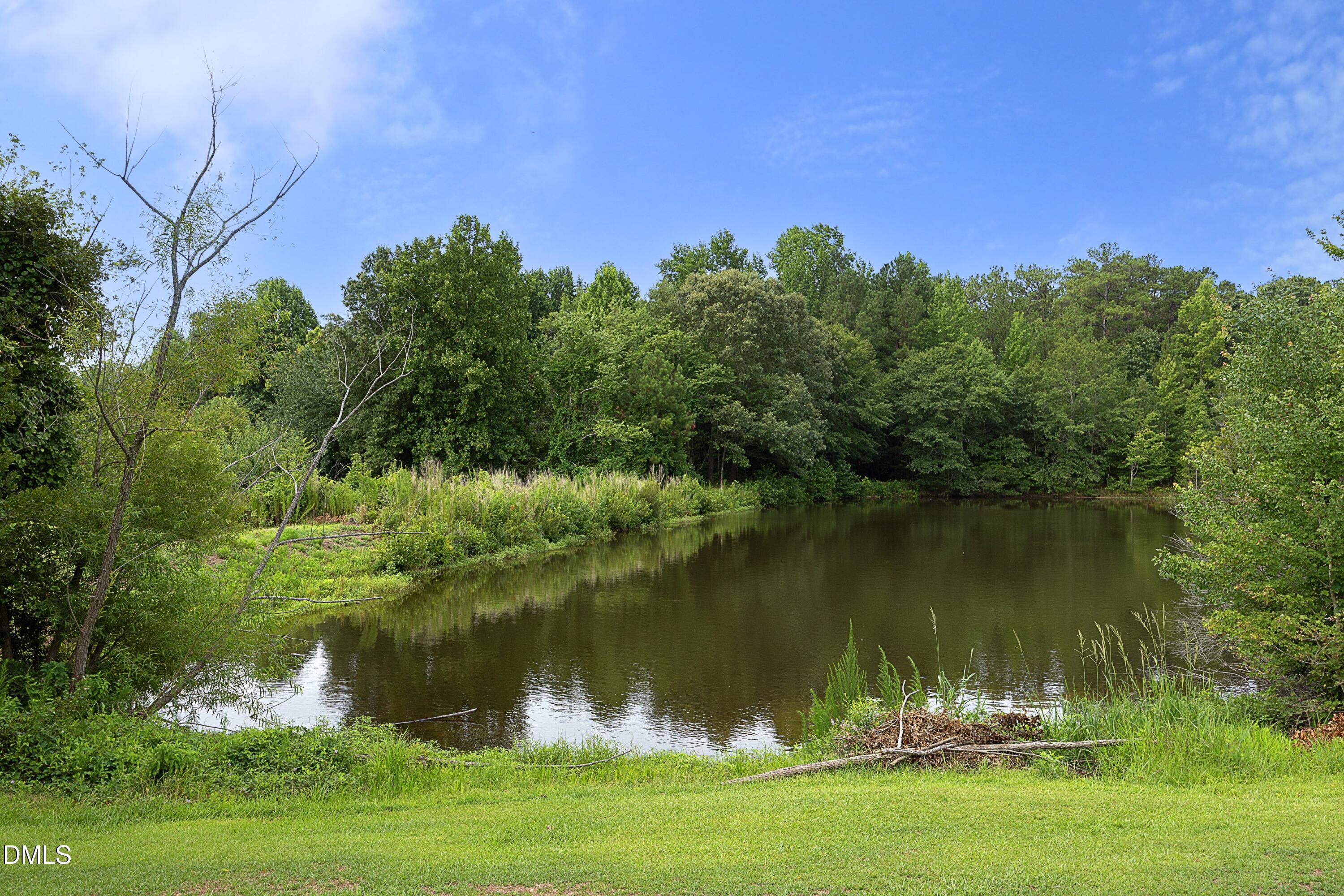 211 Sherman Lakes Drive Property Photo 26