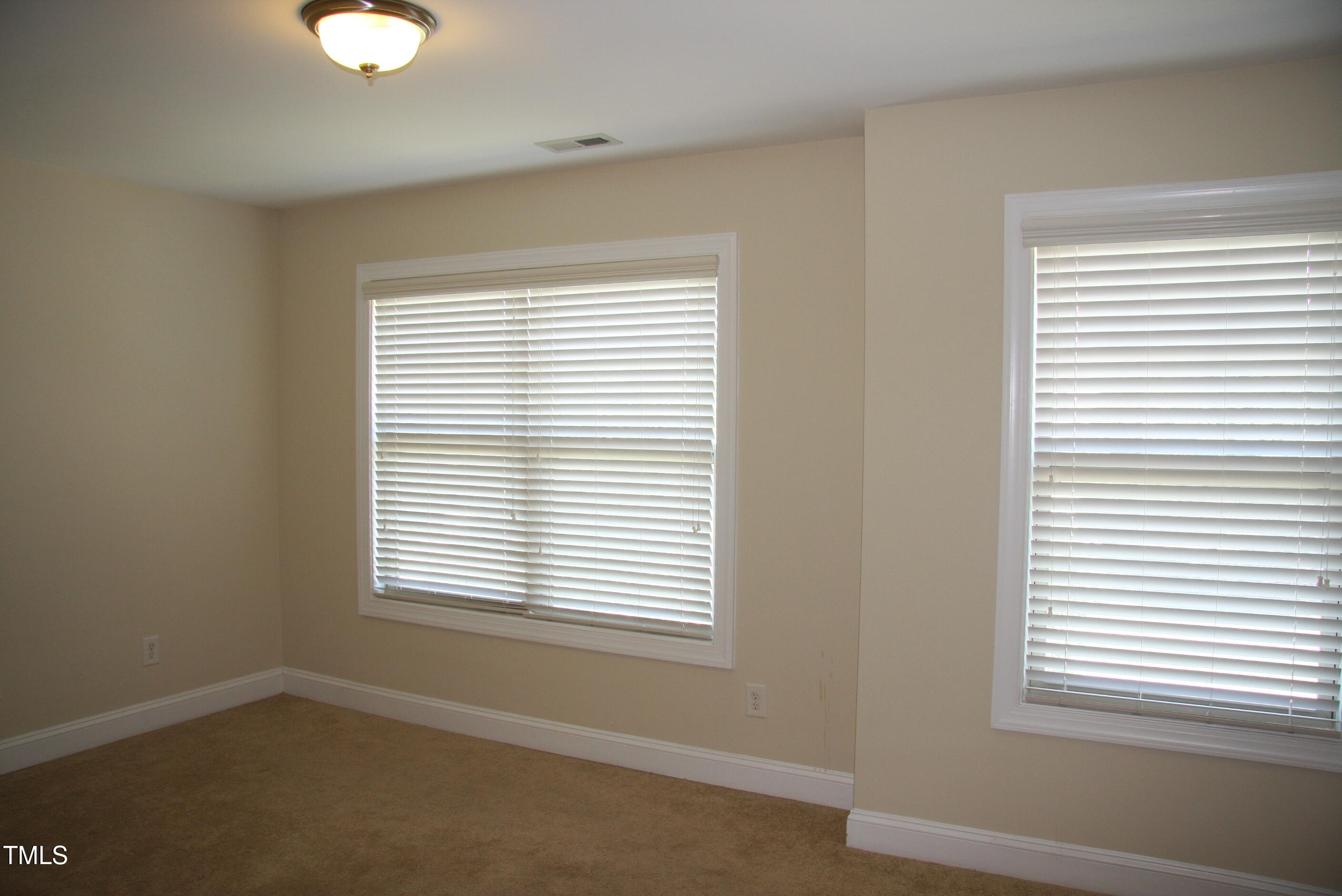 4116 Collamer Drive Property Photo 31