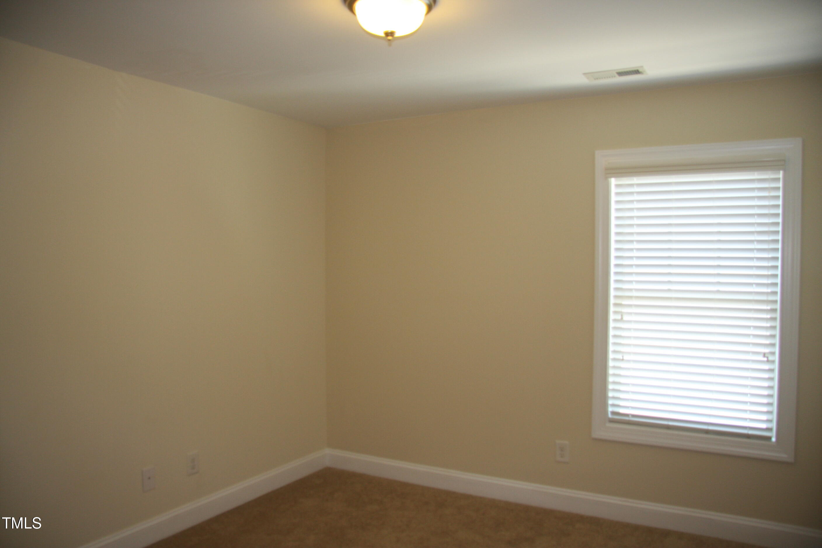 4116 Collamer Drive Property Photo 33